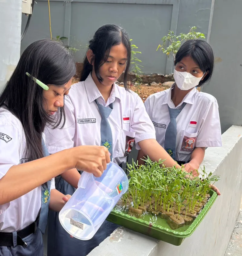 Lahan Urban Farming SMAN 116 Jakarta - Gambar 129