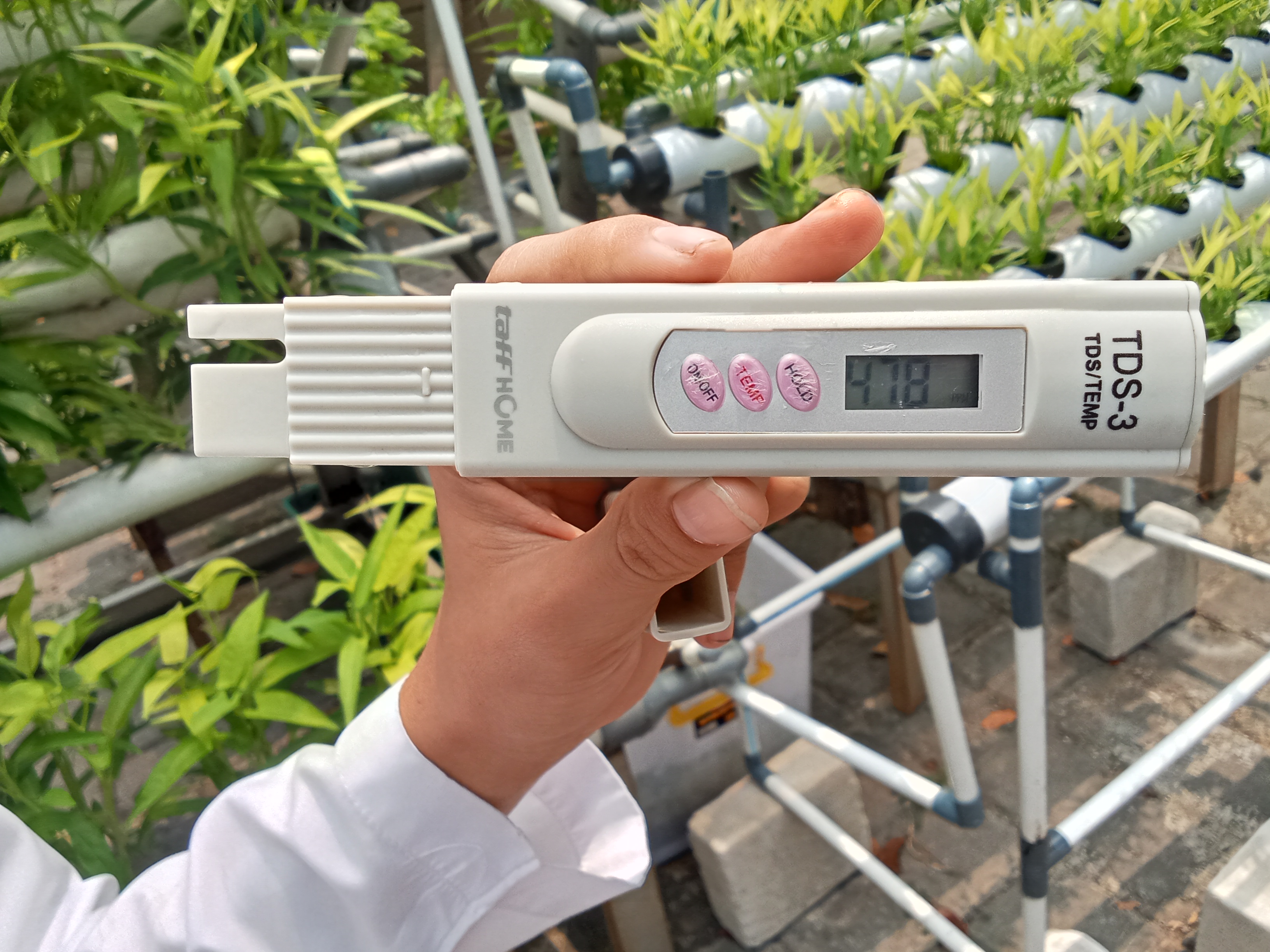Lahan Urban Farming SMKN 59 Jakarta - Gambar 207