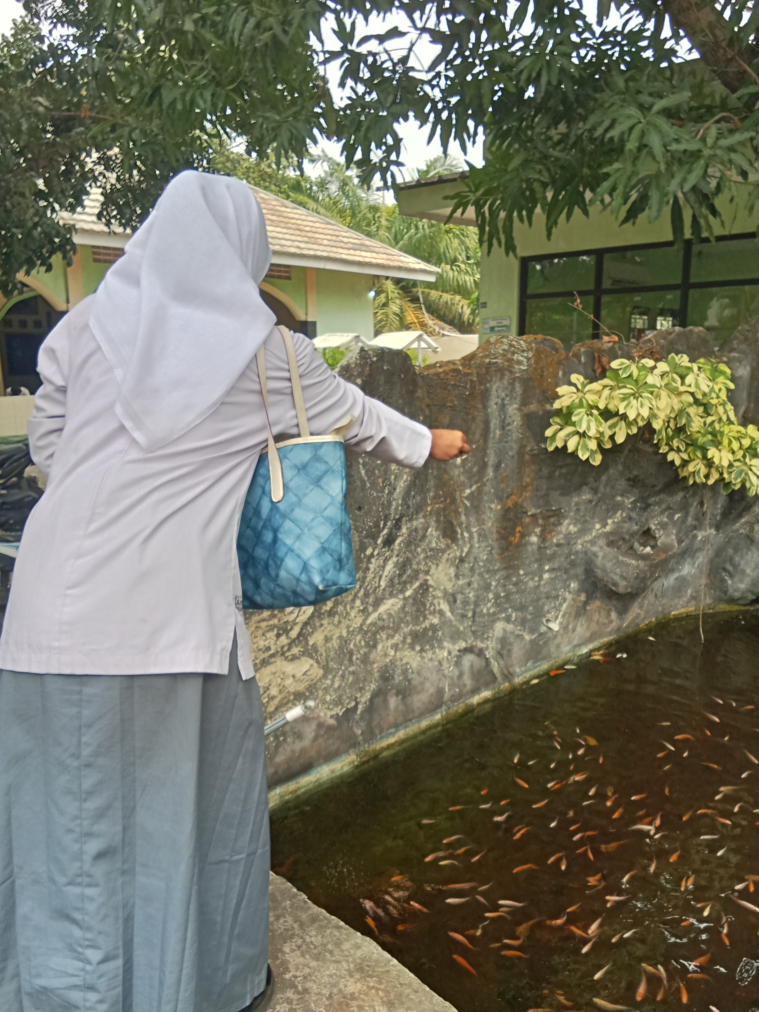 Lahan Urban Farming SMKN 59 Jakarta - Gambar 206