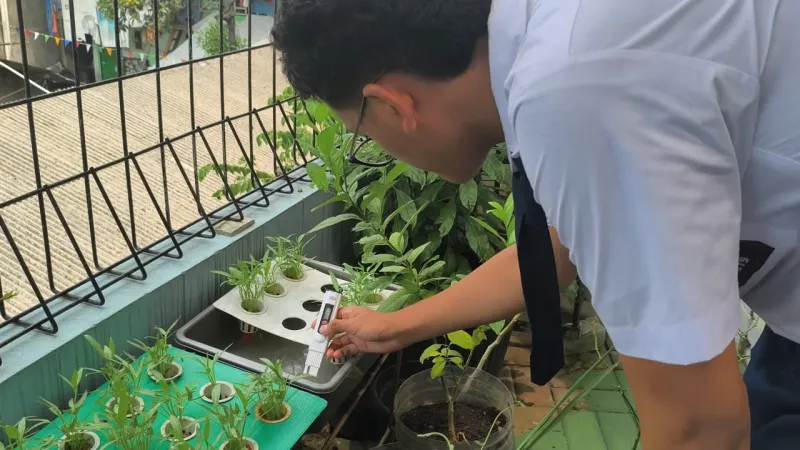 Lahan Urban Farming SMKN 43 Jakarta - Gambar 180