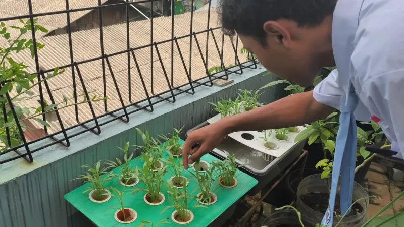 Lahan Urban Farming SMKN 43 Jakarta - Gambar 181