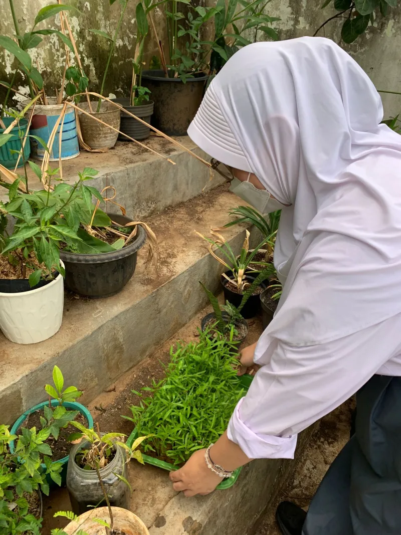 Lahan Urban Farming SMAN 63 Jakarta - Gambar 76