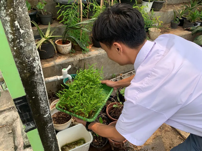 Lahan Urban Farming SMAN 63 Jakarta - Gambar 77