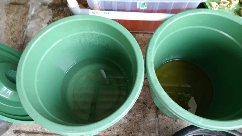 Lahan Urban Farming SMKN 41 Jakarta - Gambar 67