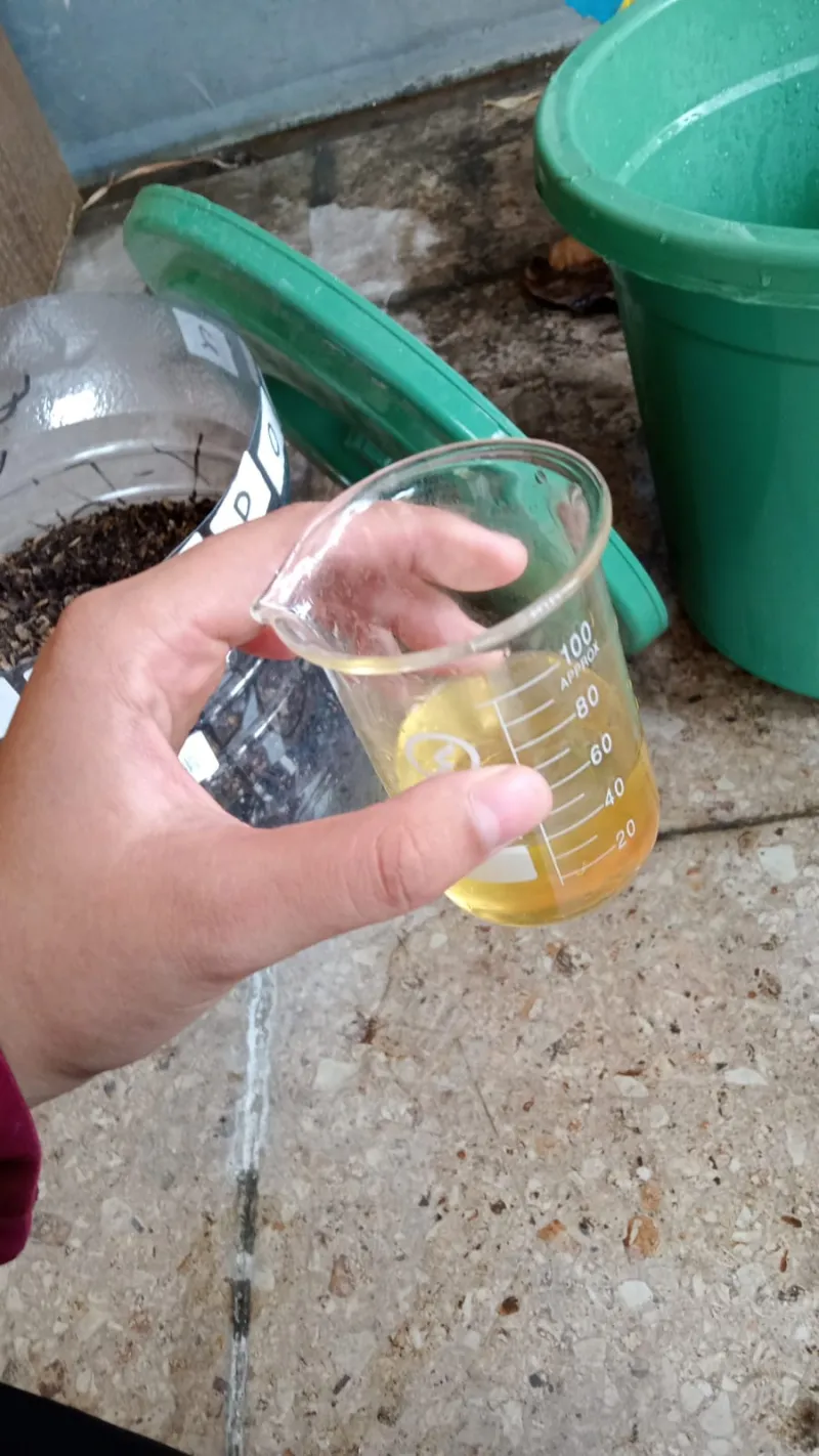 Lahan Urban Farming SMKN 41 Jakarta - Gambar 66
