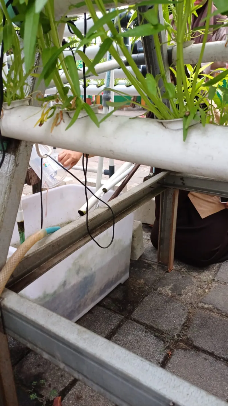 Lahan Urban Farming SMKN 59 Jakarta - Gambar 202