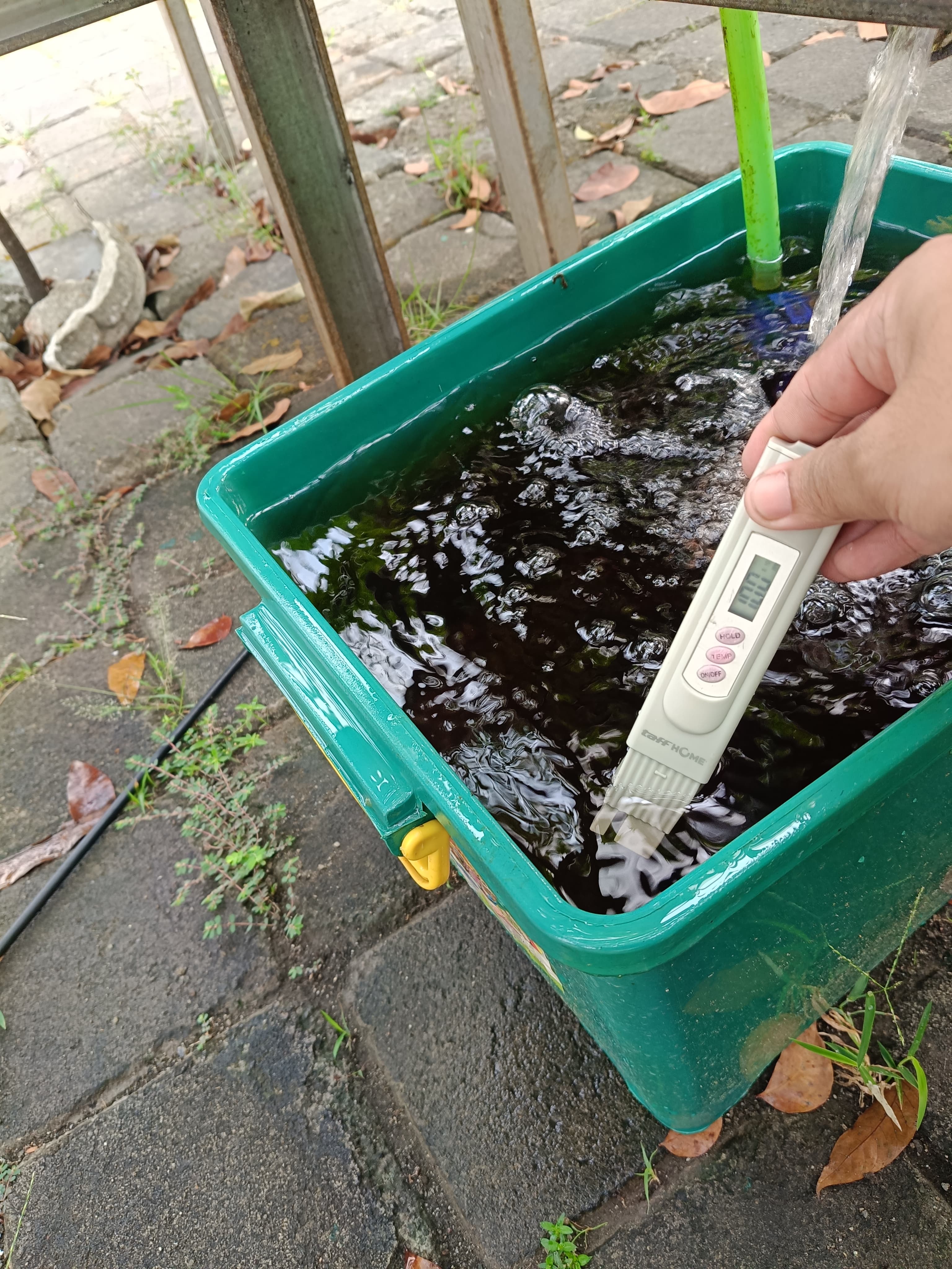 Lahan Urban Farming SMKN 59 Jakarta - Gambar 199