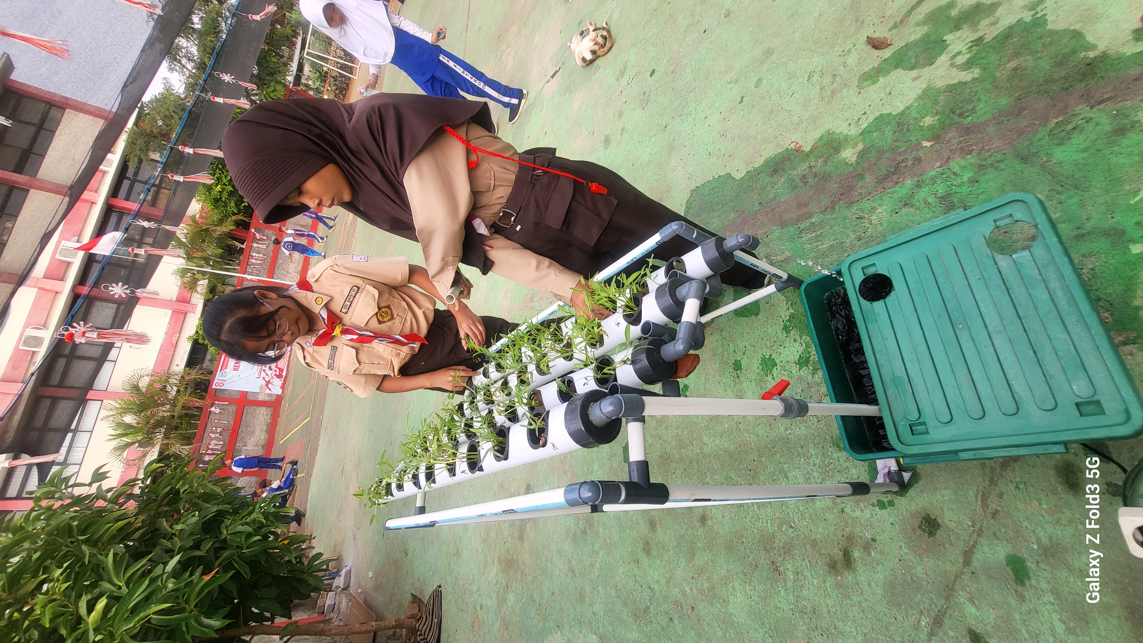 Lahan Urban Farming SDN Bintaro 09 - Gambar 149