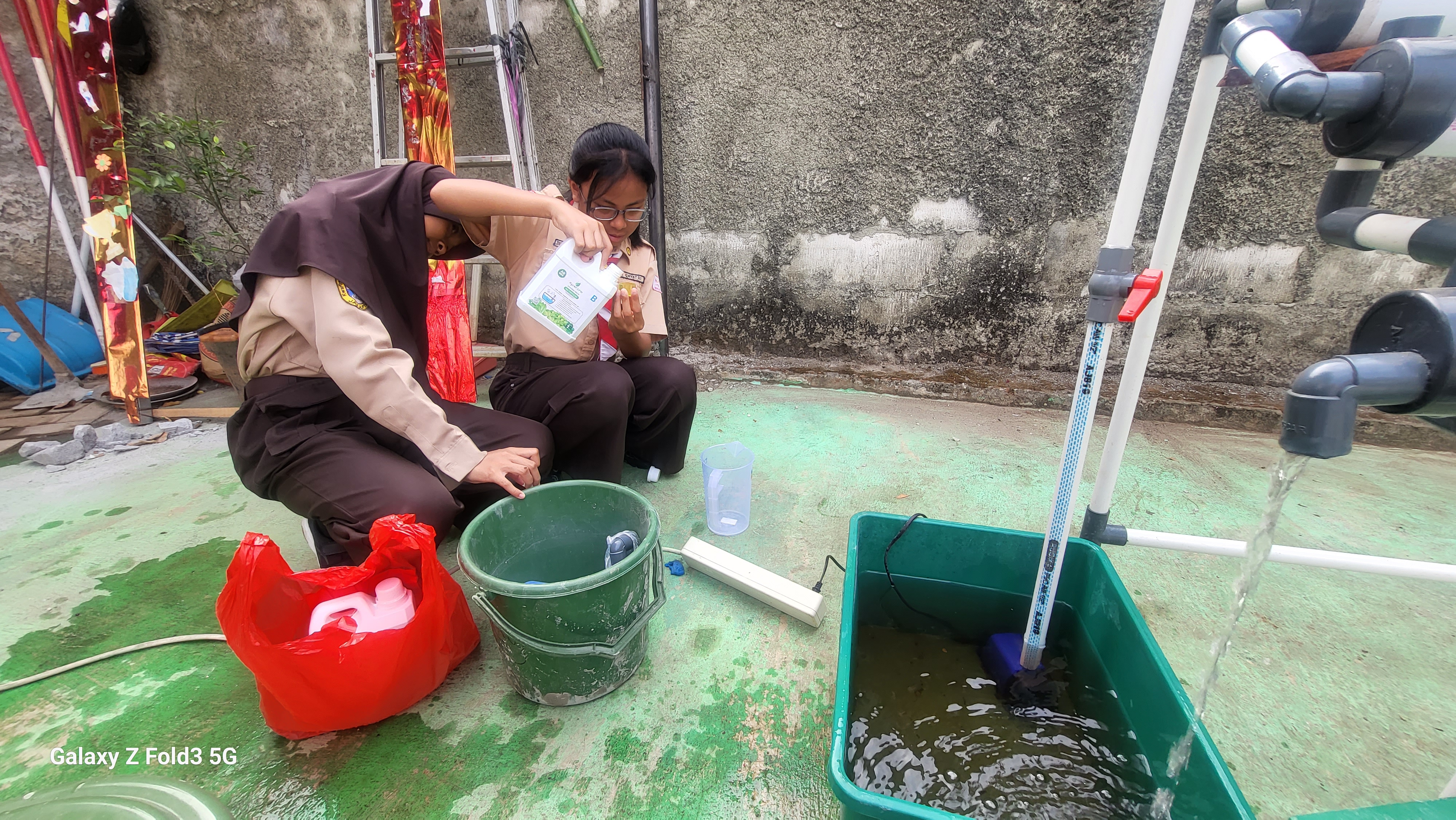 Lahan Urban Farming SDN Bintaro 09 - Gambar 151