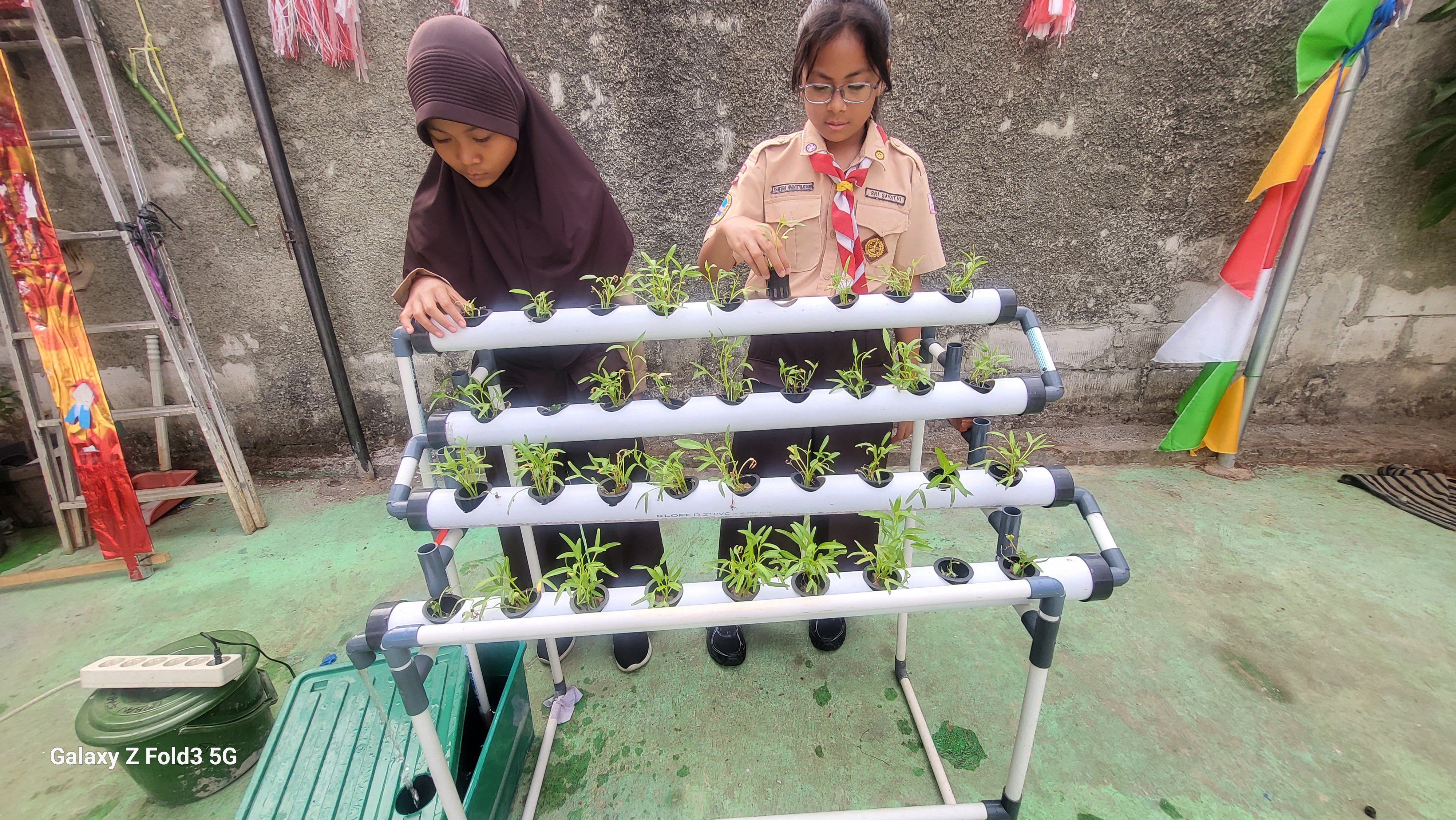 Lahan Urban Farming SDN Bintaro 09 - Gambar 148