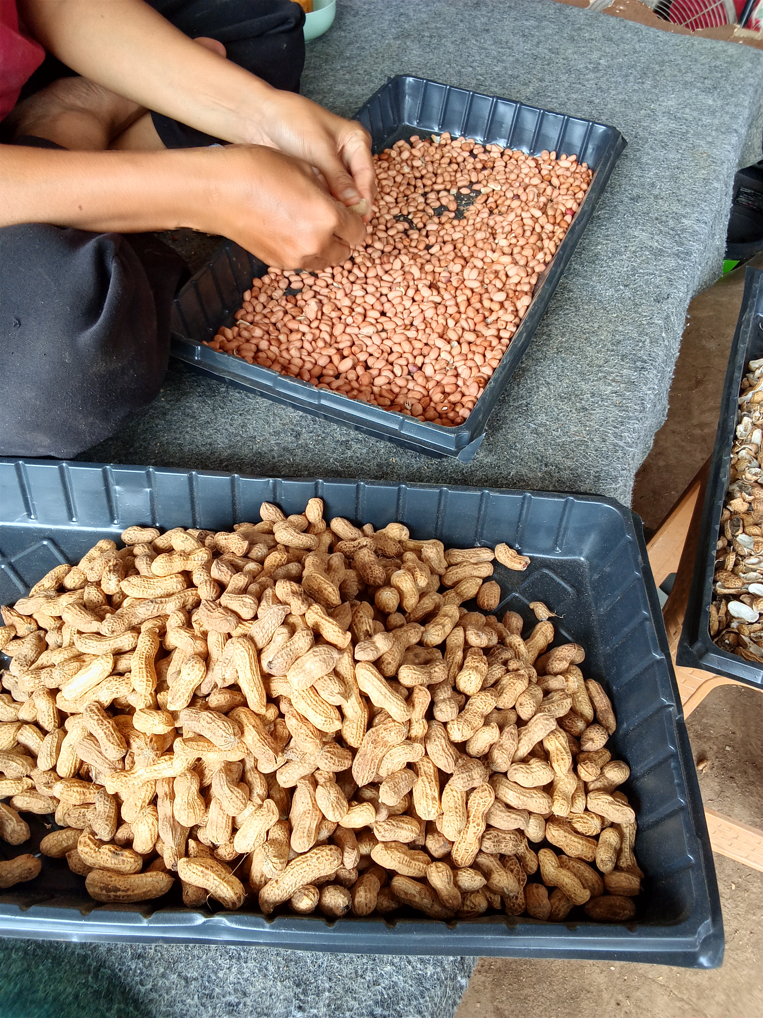 Lahan Jl. Kemenyan I - Jagakarsa - Gambar 33