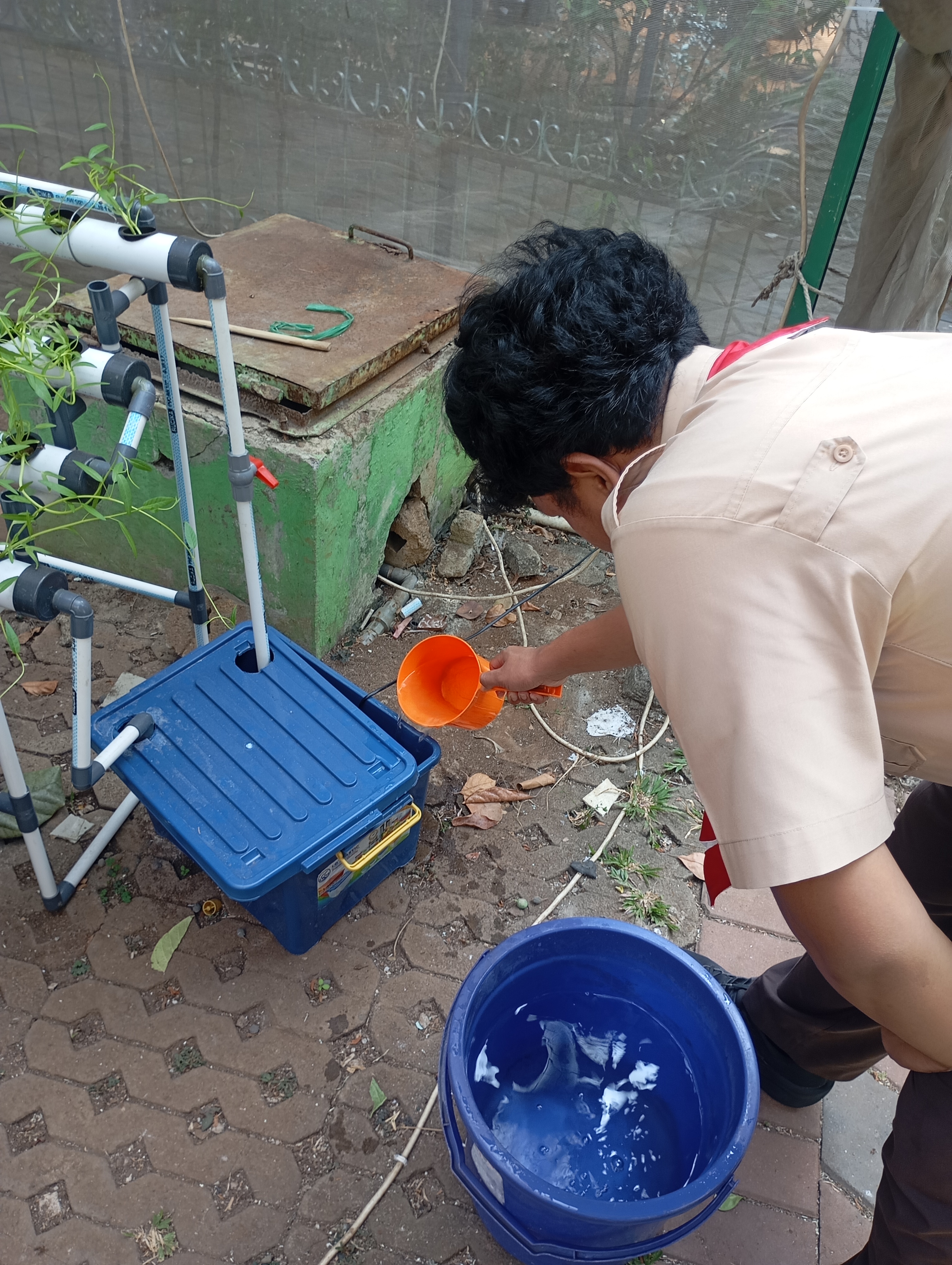 Lahan Urban Farming SMAN 34 Jakarta - Gambar 70