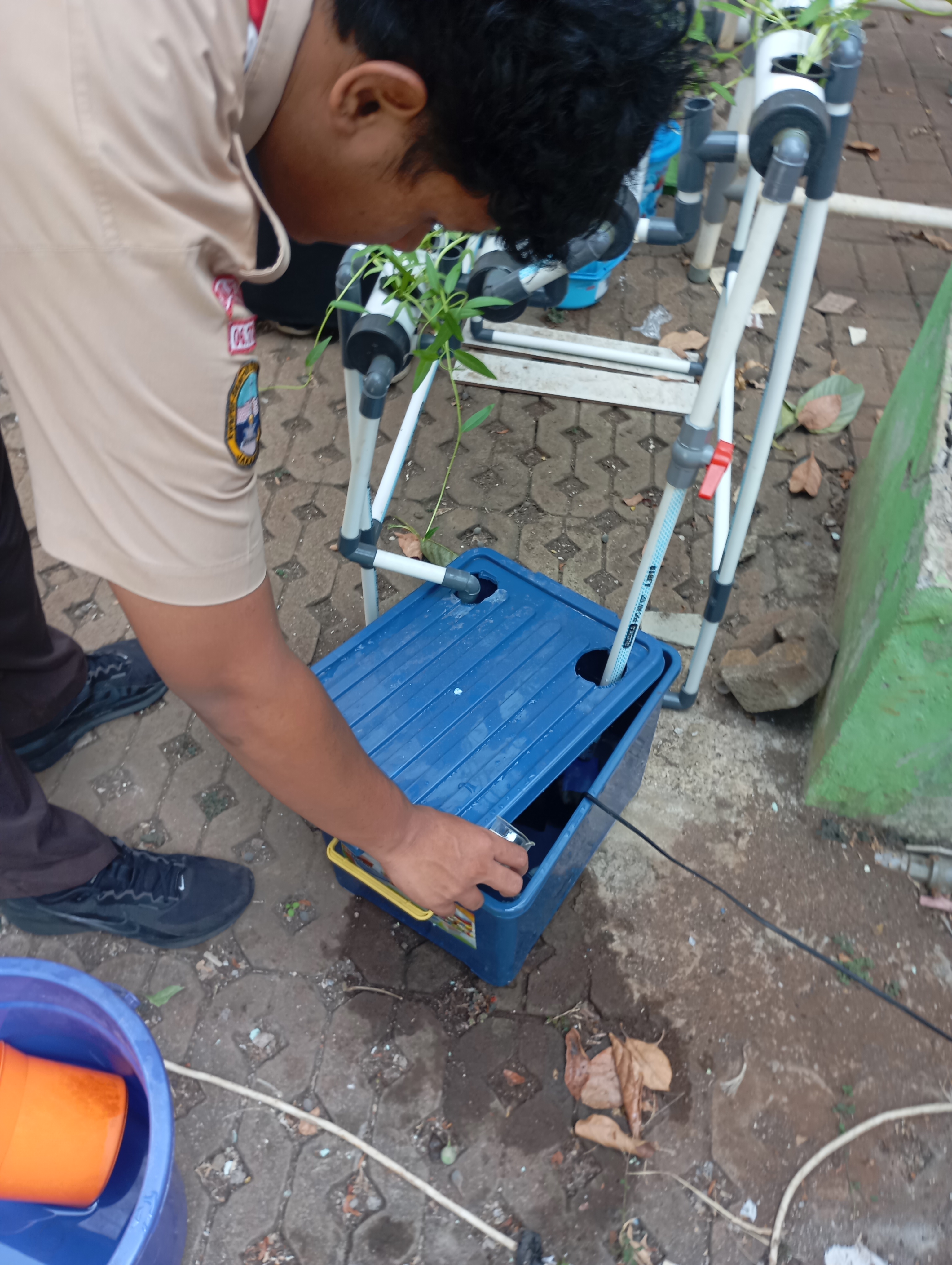 Lahan Urban Farming SMAN 34 Jakarta - Gambar 67