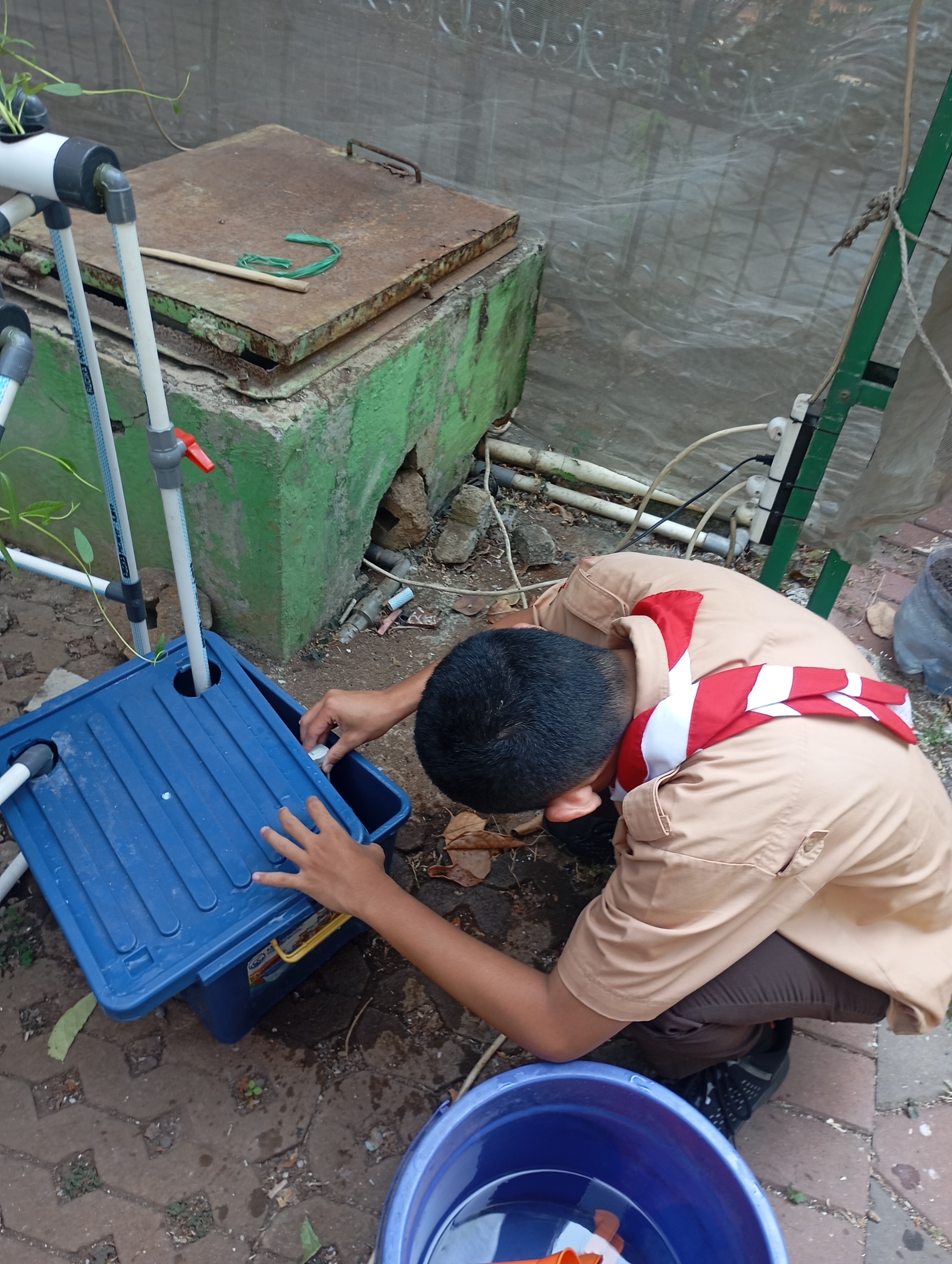 Lahan Urban Farming SMAN 34 Jakarta - Gambar 69