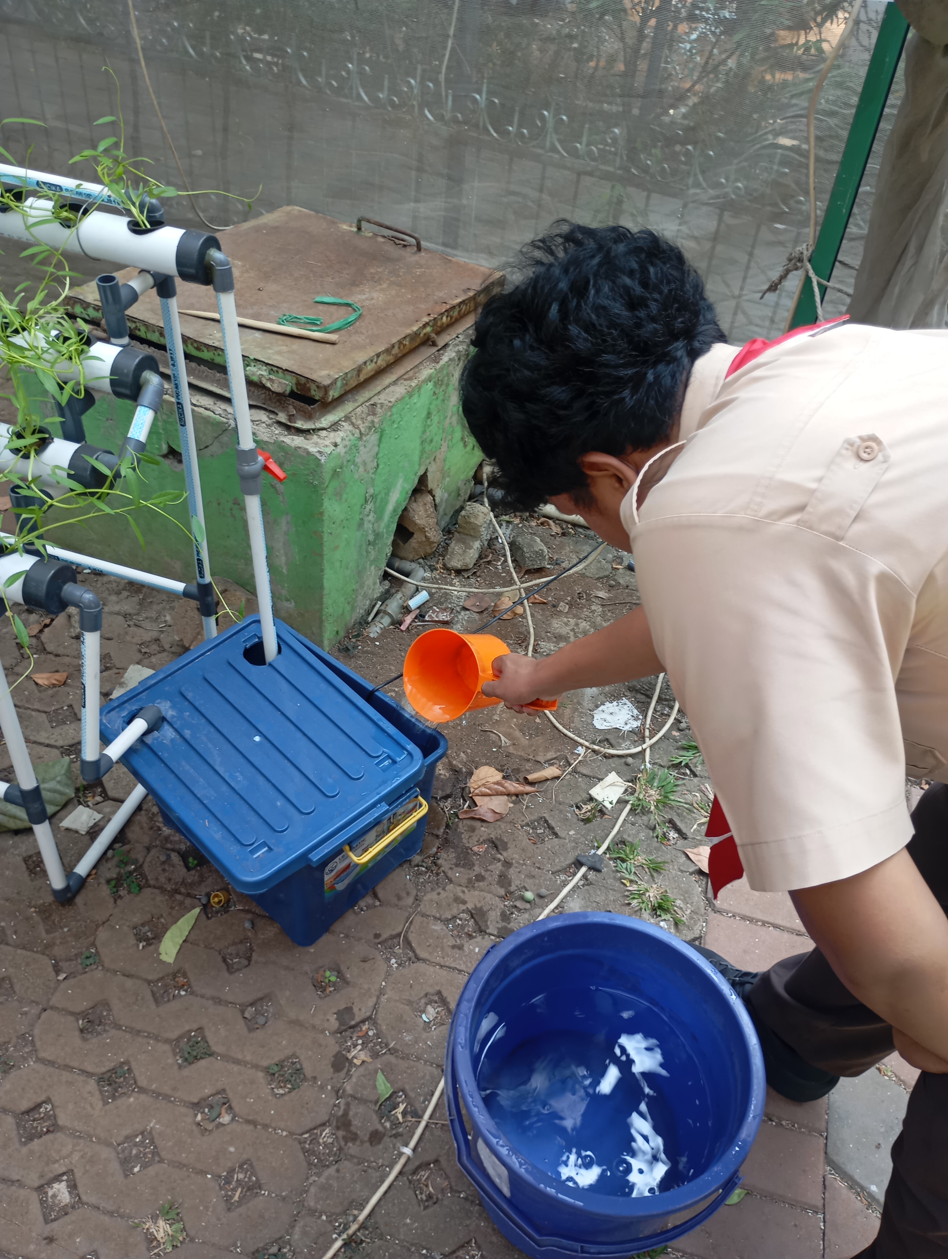 Lahan Urban Farming SMAN 34 Jakarta - Gambar 71