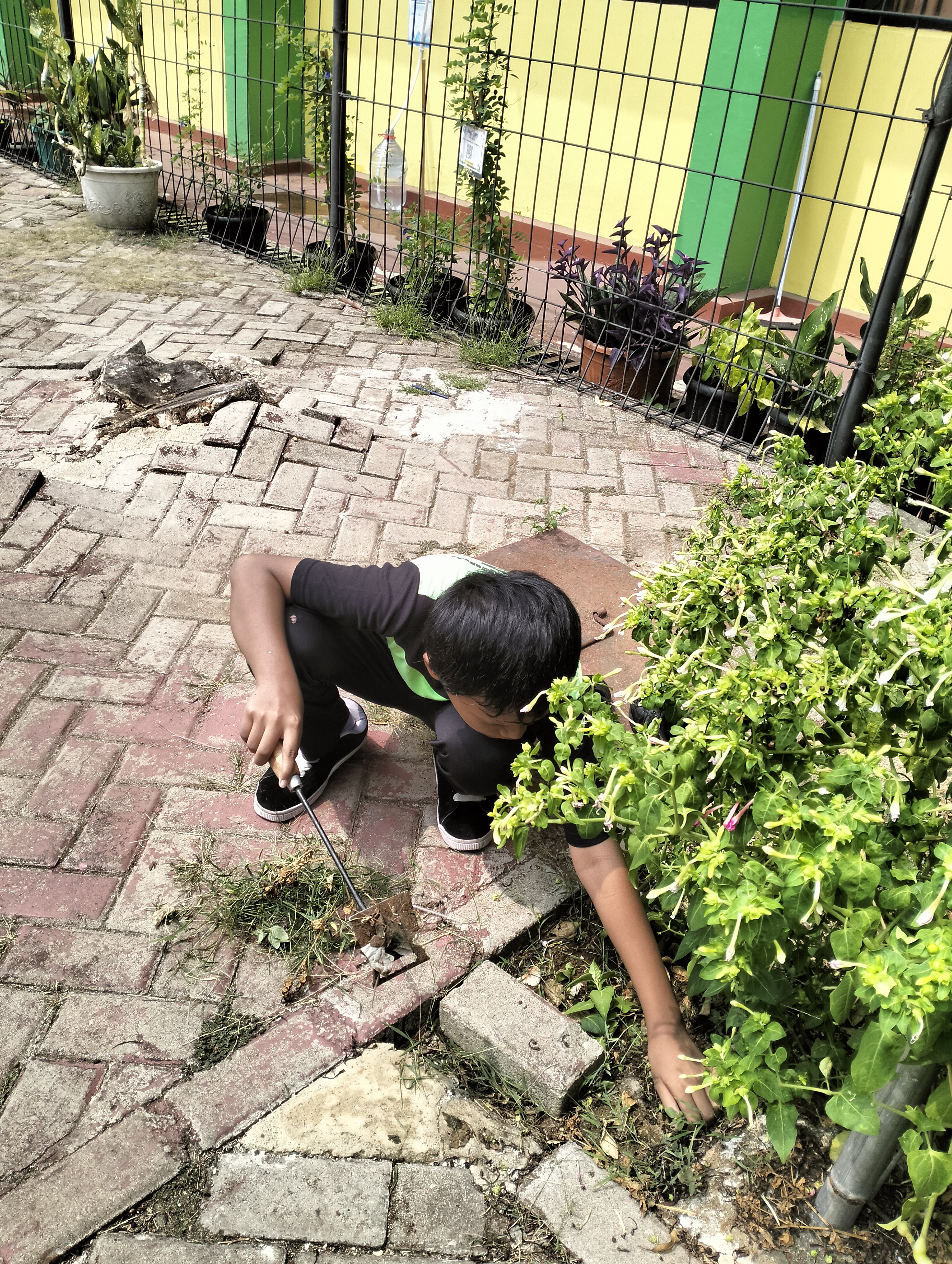 Lahan Urban Farming SDN Lenteng Agung 07 Jakarta - Gambar 91