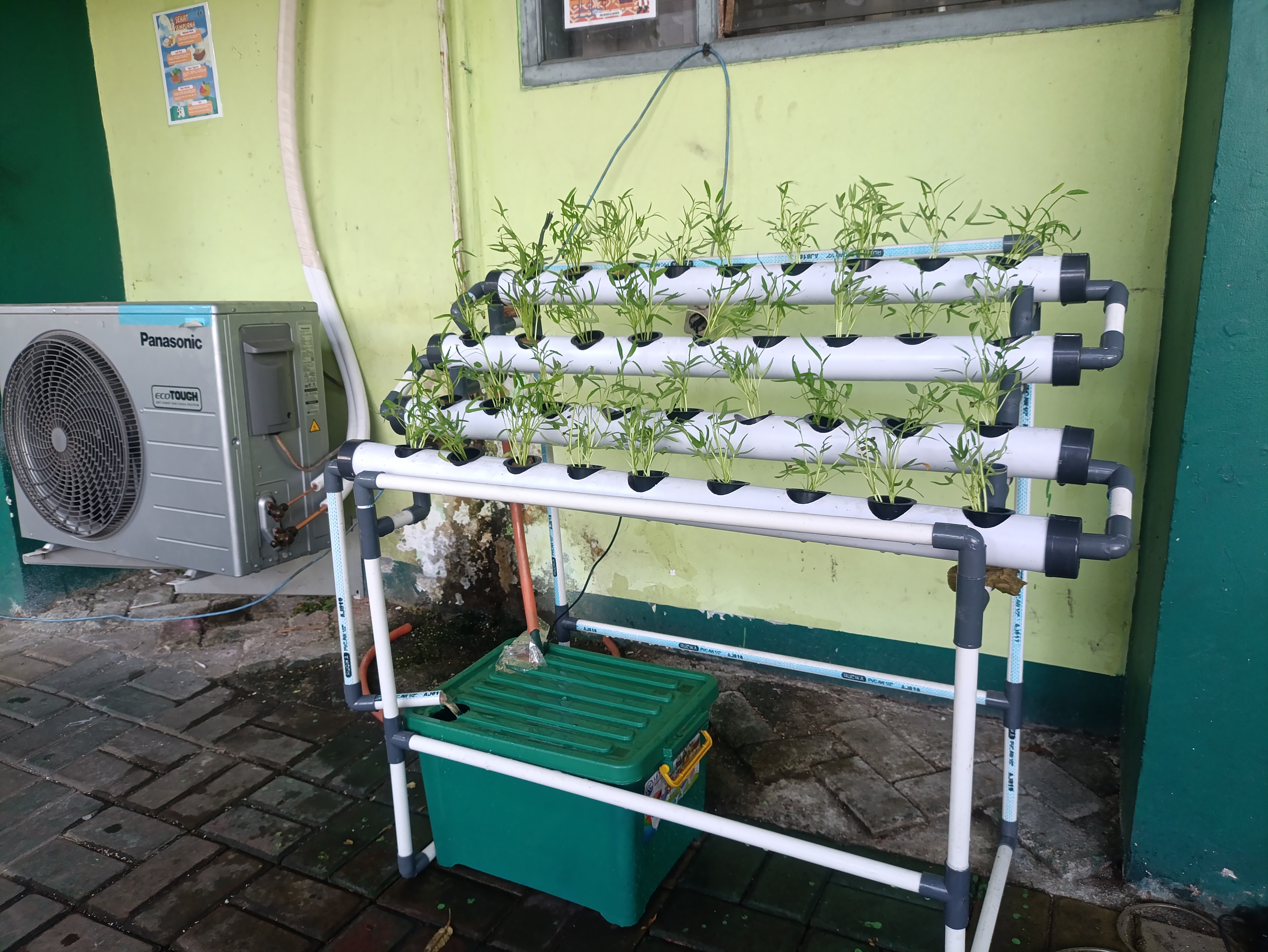 Lahan Urban Farming SMAN 63 Jakarta - Gambar 74