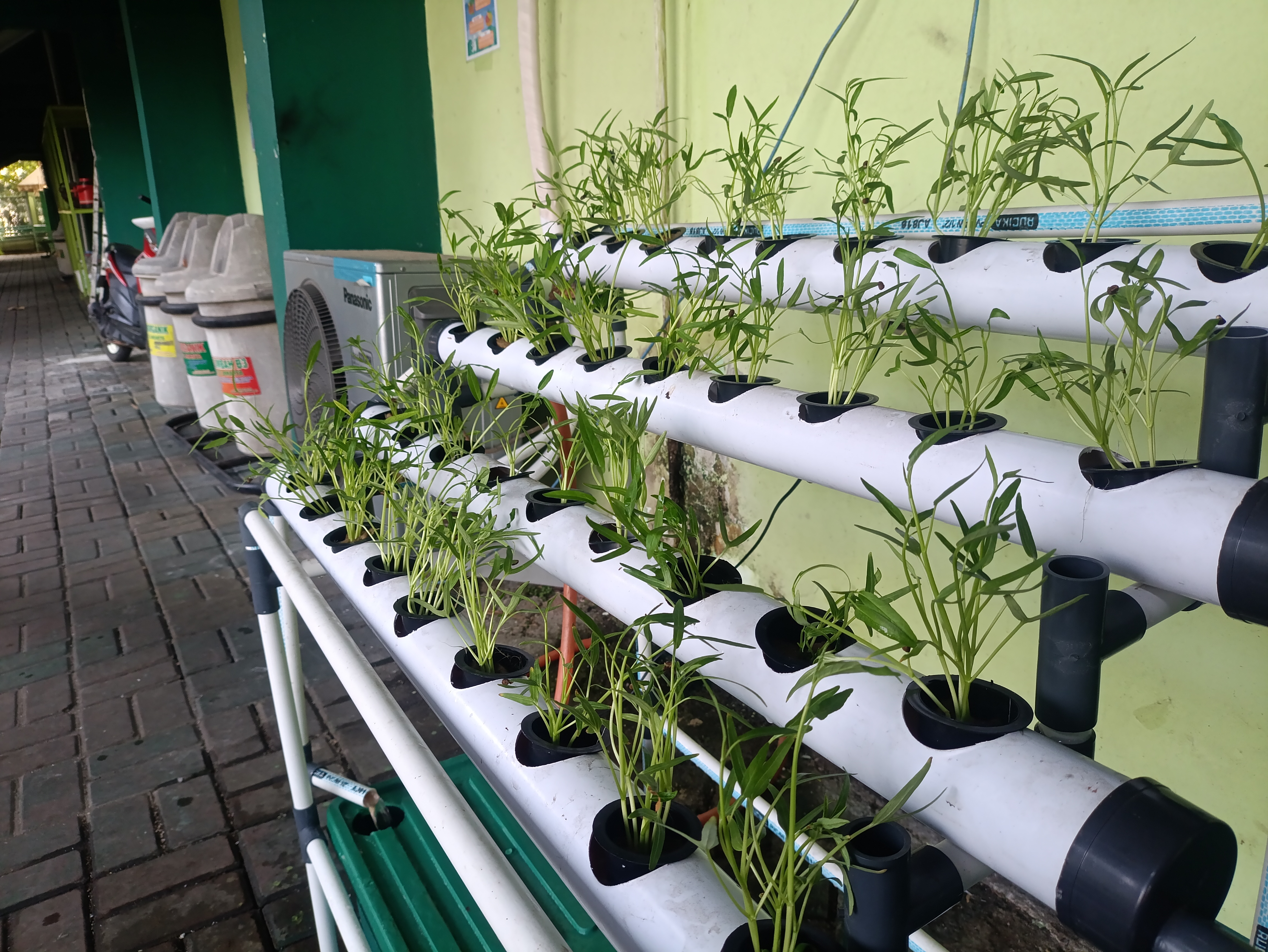 Lahan Urban Farming SMAN 63 Jakarta - Gambar 73