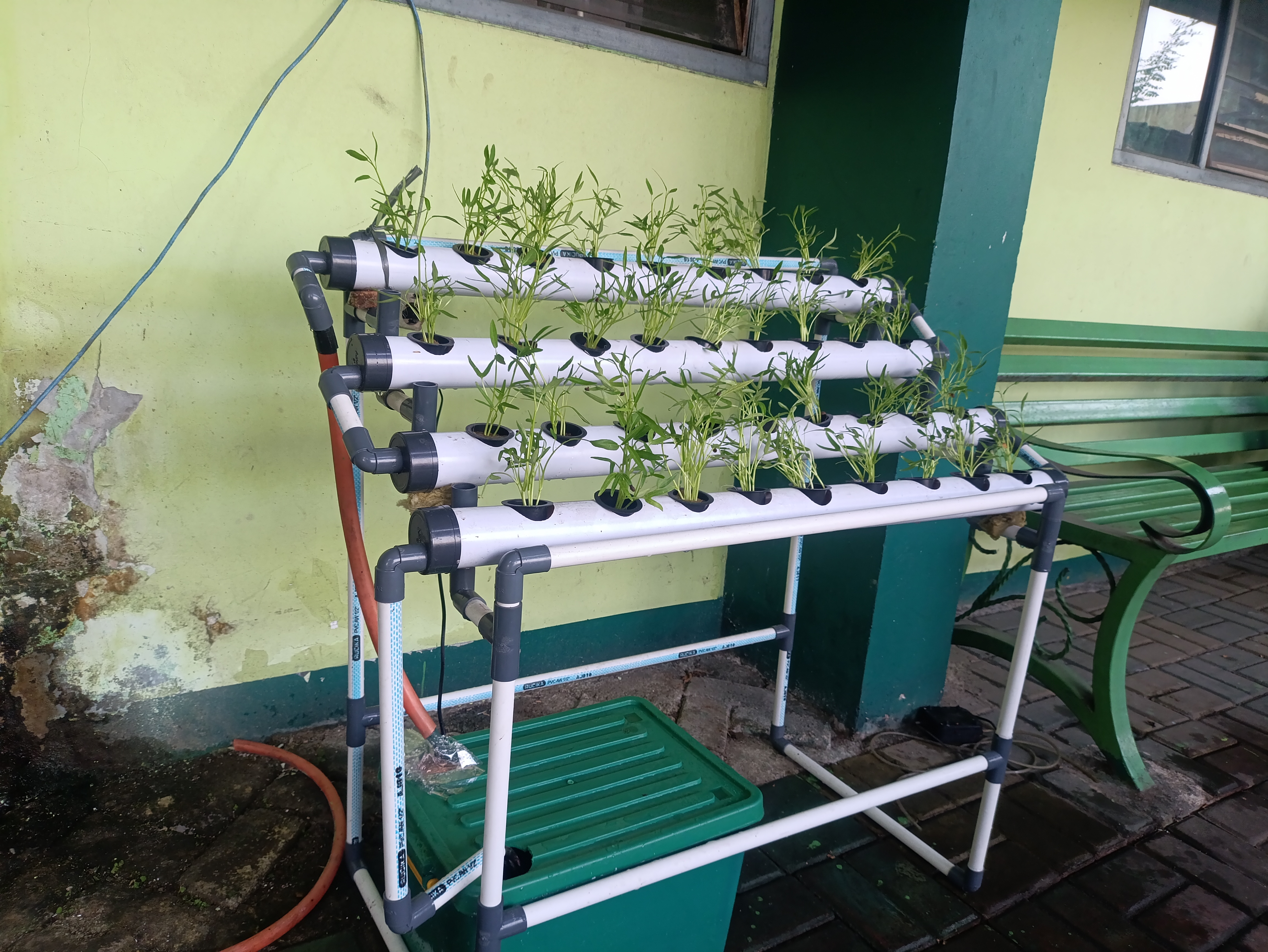 Lahan Urban Farming SMAN 63 Jakarta - Gambar 75