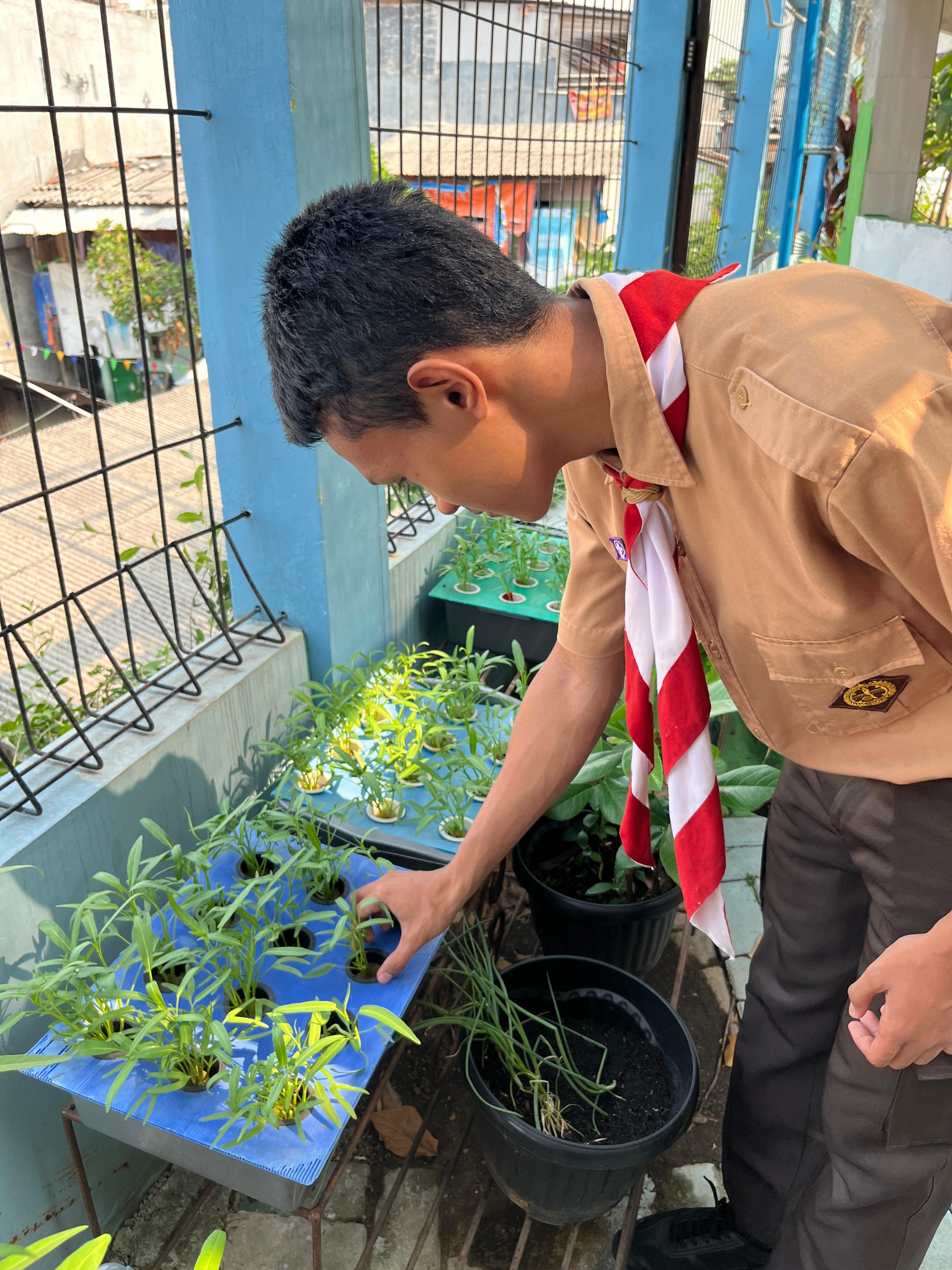 Lahan Urban Farming SMKN 43 Jakarta - Gambar 176