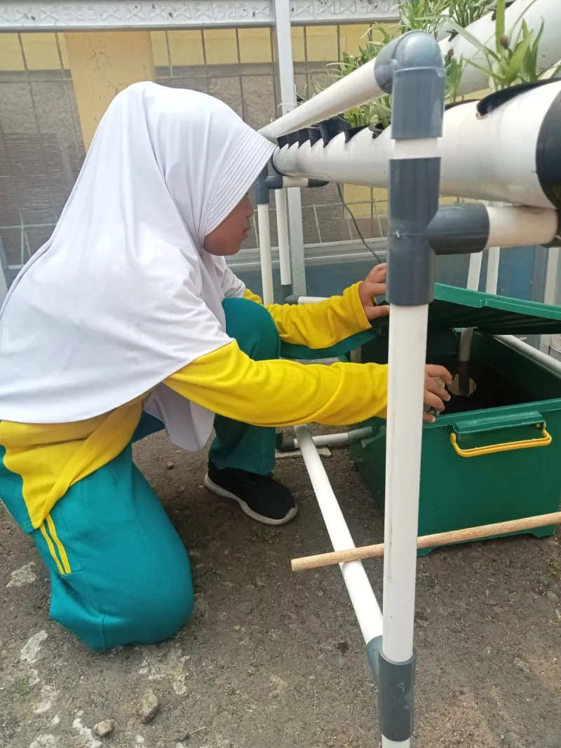 Lahan Urban Farming SDN Cipulir 03 - Gambar 61