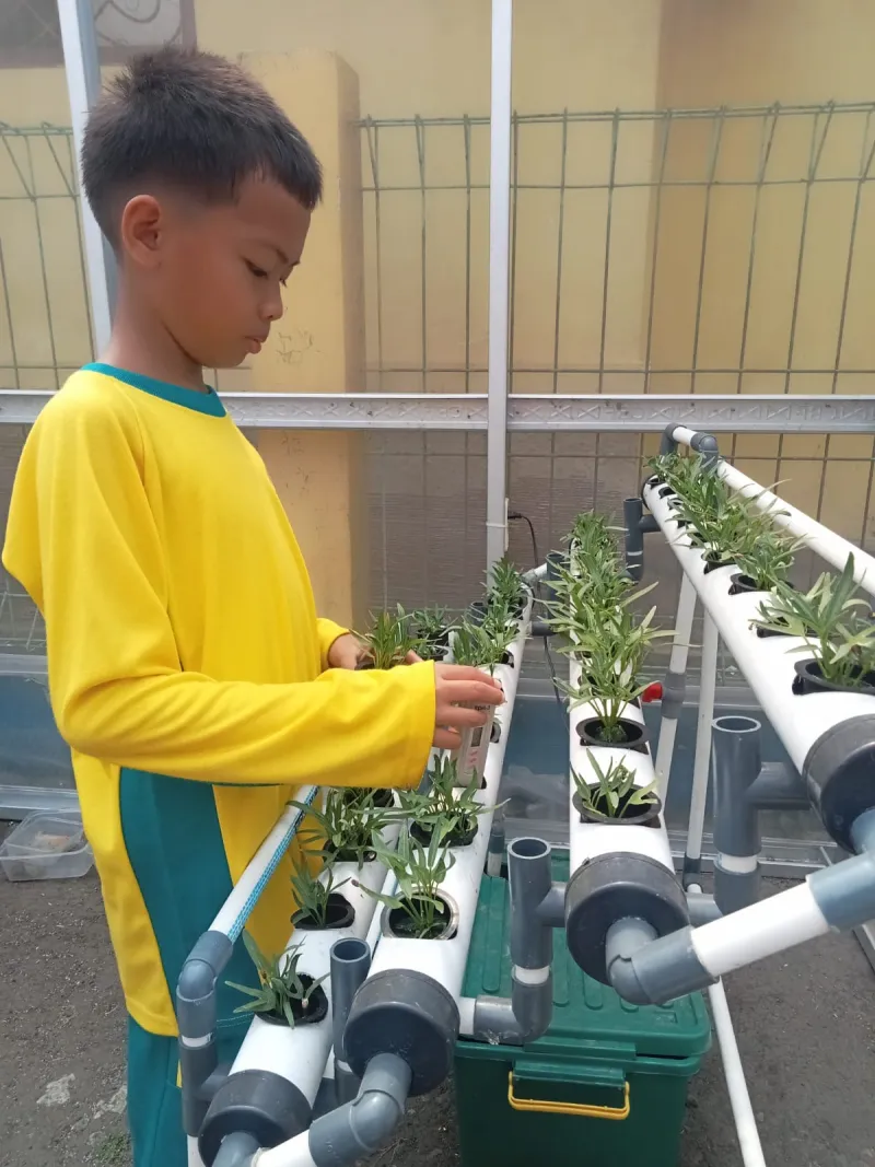 Lahan Urban Farming SDN Cipulir 03 - Gambar 60