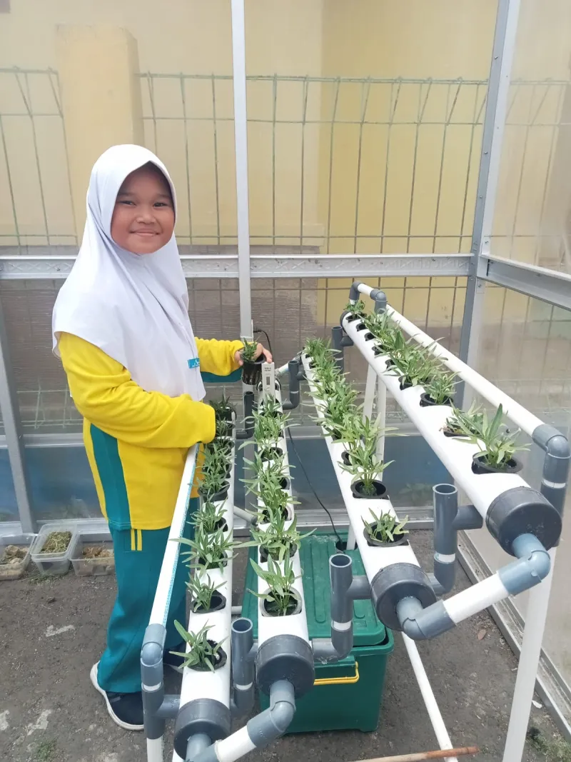 Lahan Urban Farming SDN Cipulir 03 - Gambar 59