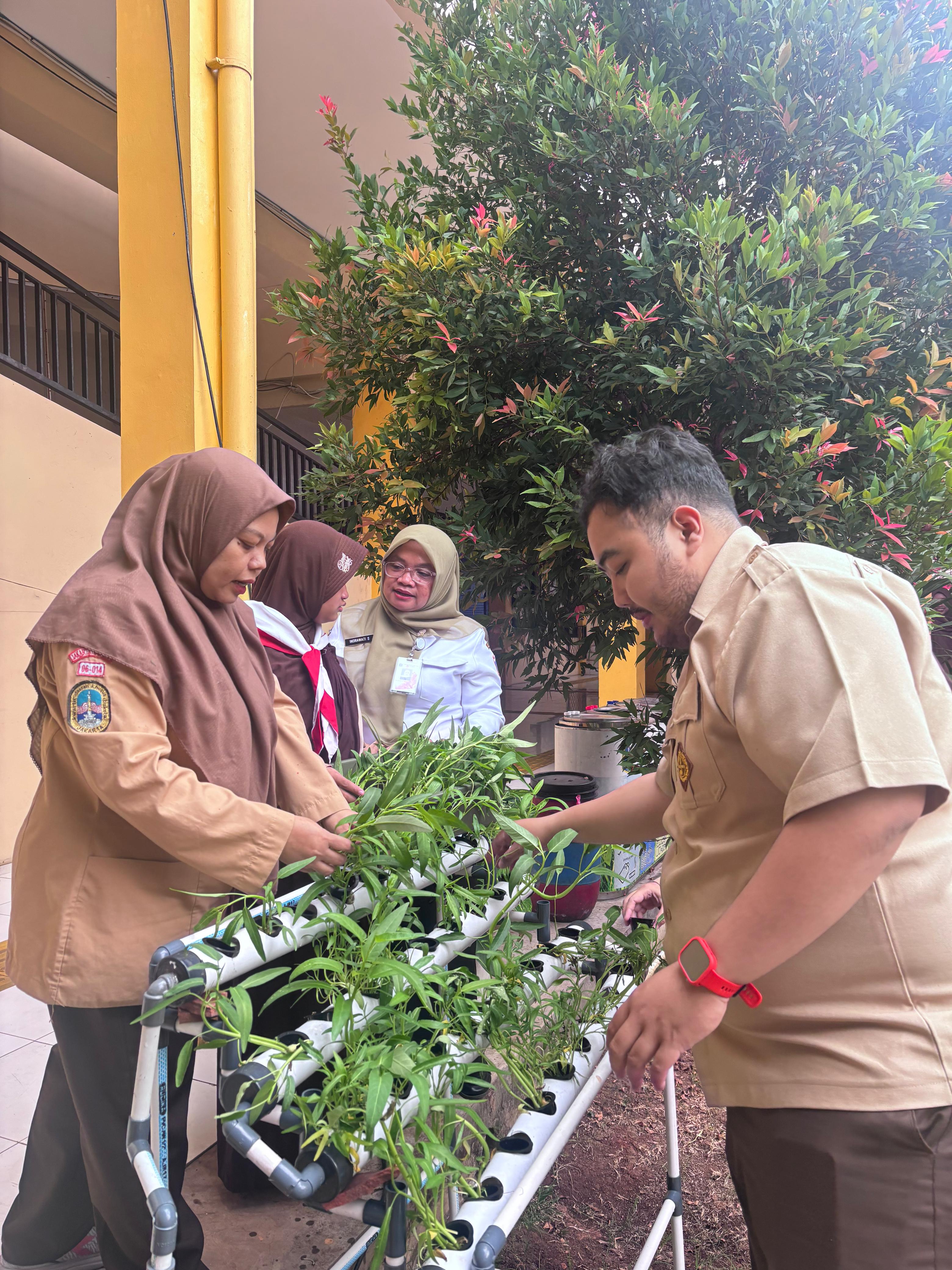 Lahan Urban Farming SLB A Pembina Tingkat Nasional - Gambar 106