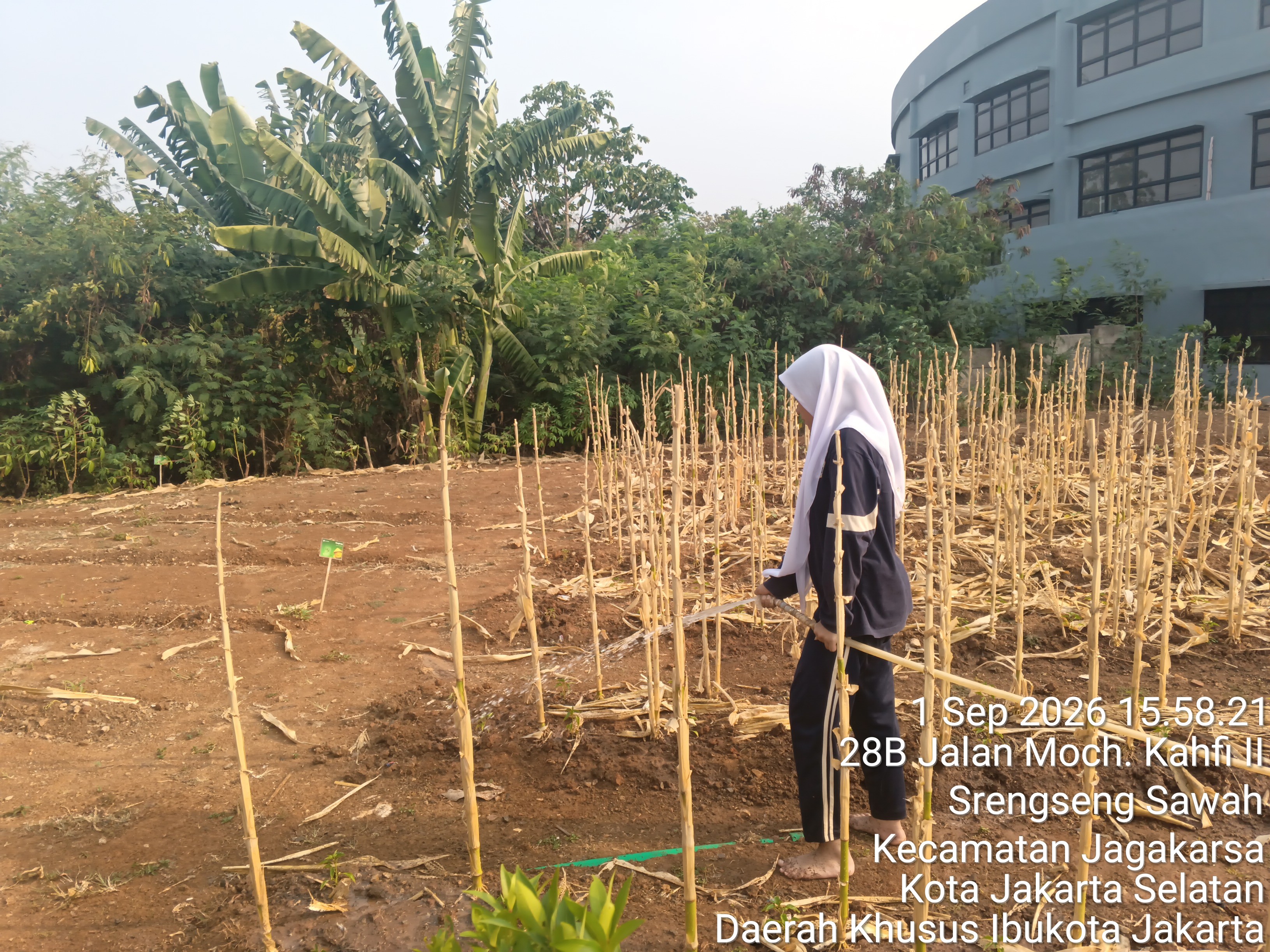 KEBUN SMKN 74 JAGAKARSA JAKARTA SELATAN - Gambar 273
