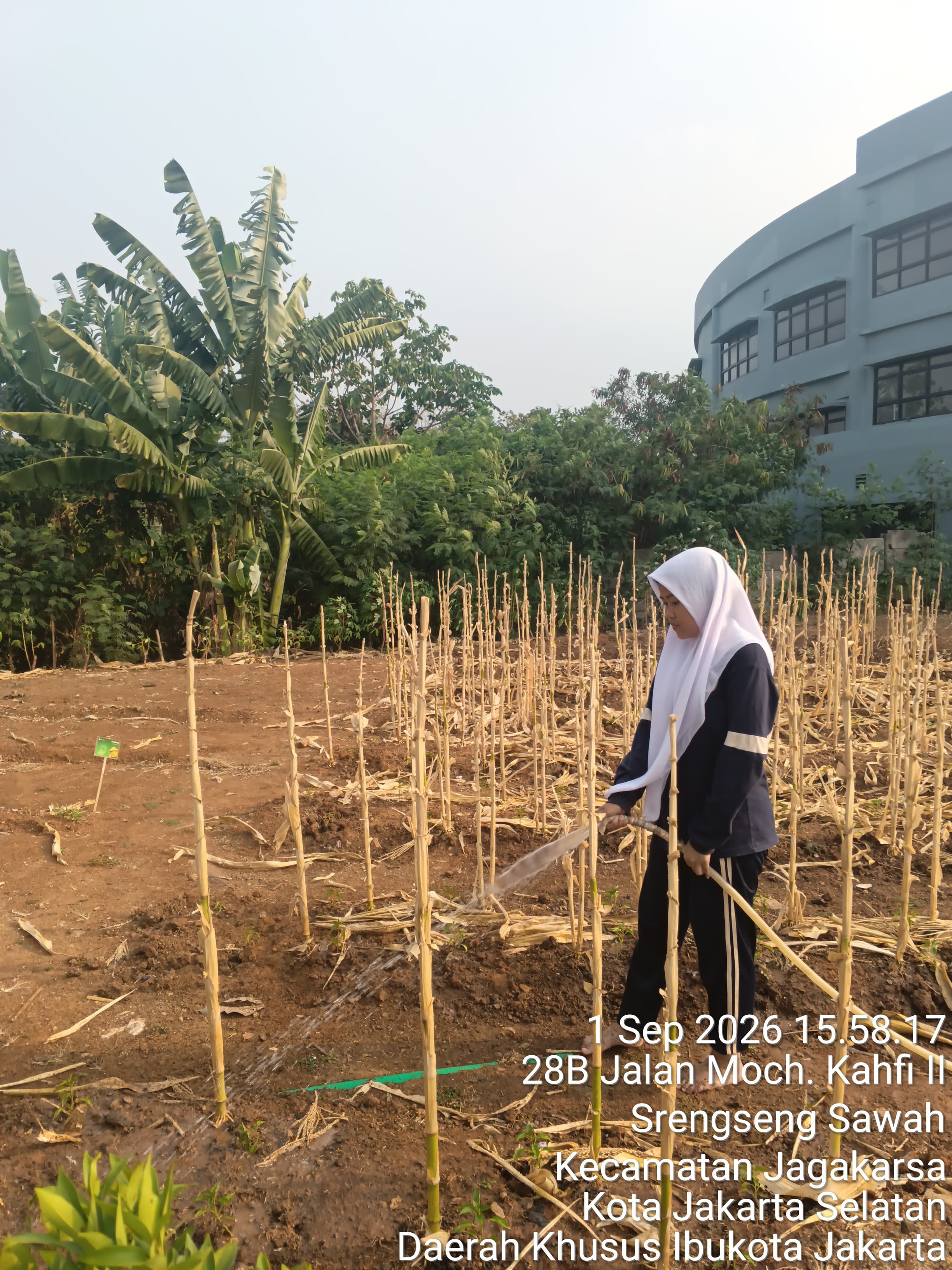 KEBUN SMKN 74 JAGAKARSA JAKARTA SELATAN - Gambar 274