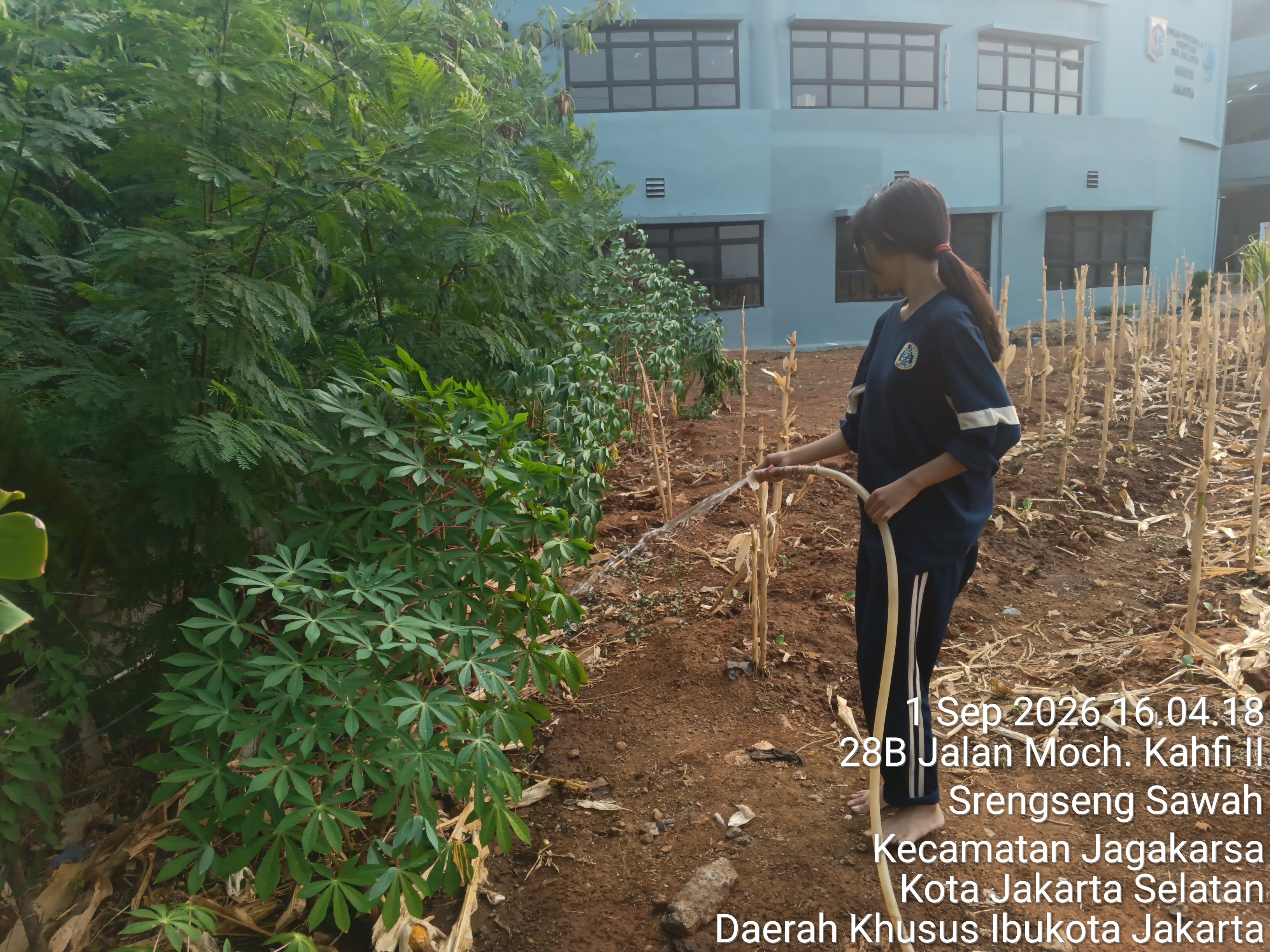 KEBUN SMKN 74 JAGAKARSA JAKARTA SELATAN - Gambar 267