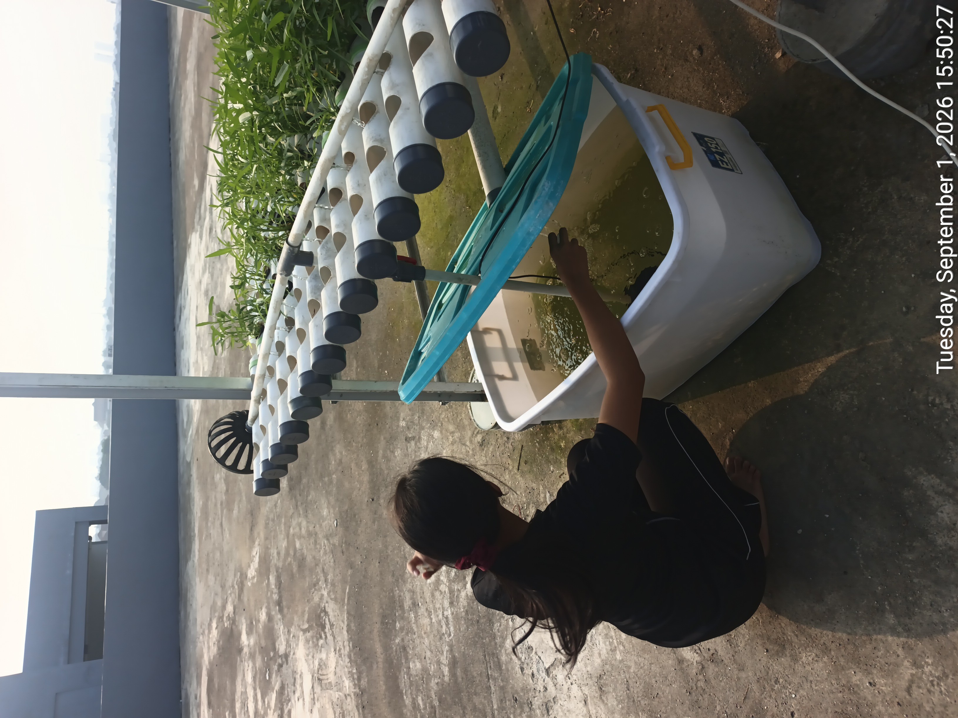 KEBUN SMKN 74 JAGAKARSA JAKARTA SELATAN - Gambar 266