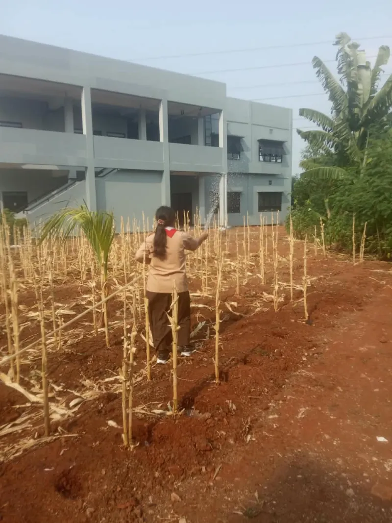 KEBUN SMKN 74 JAGAKARSA JAKARTA SELATAN - Gambar 264