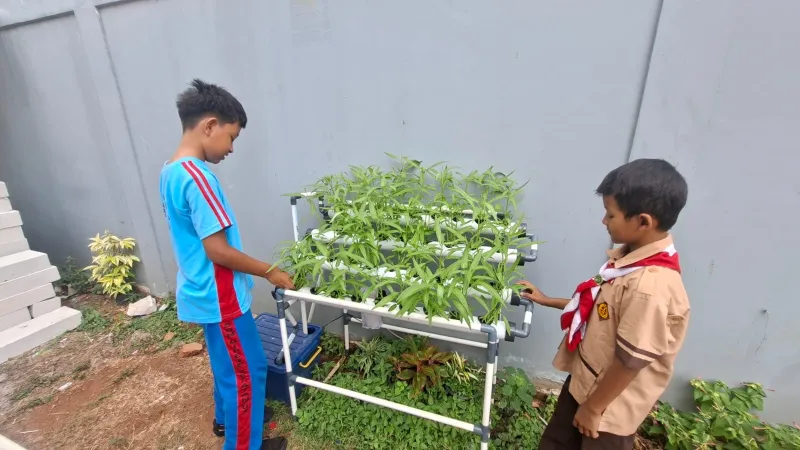 Lahan Urban Farming SDN Cipete Selatan 03 - Gambar 100