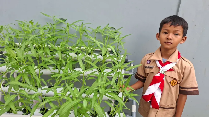 Lahan Urban Farming SDN Cipete Selatan 03 - Gambar 101