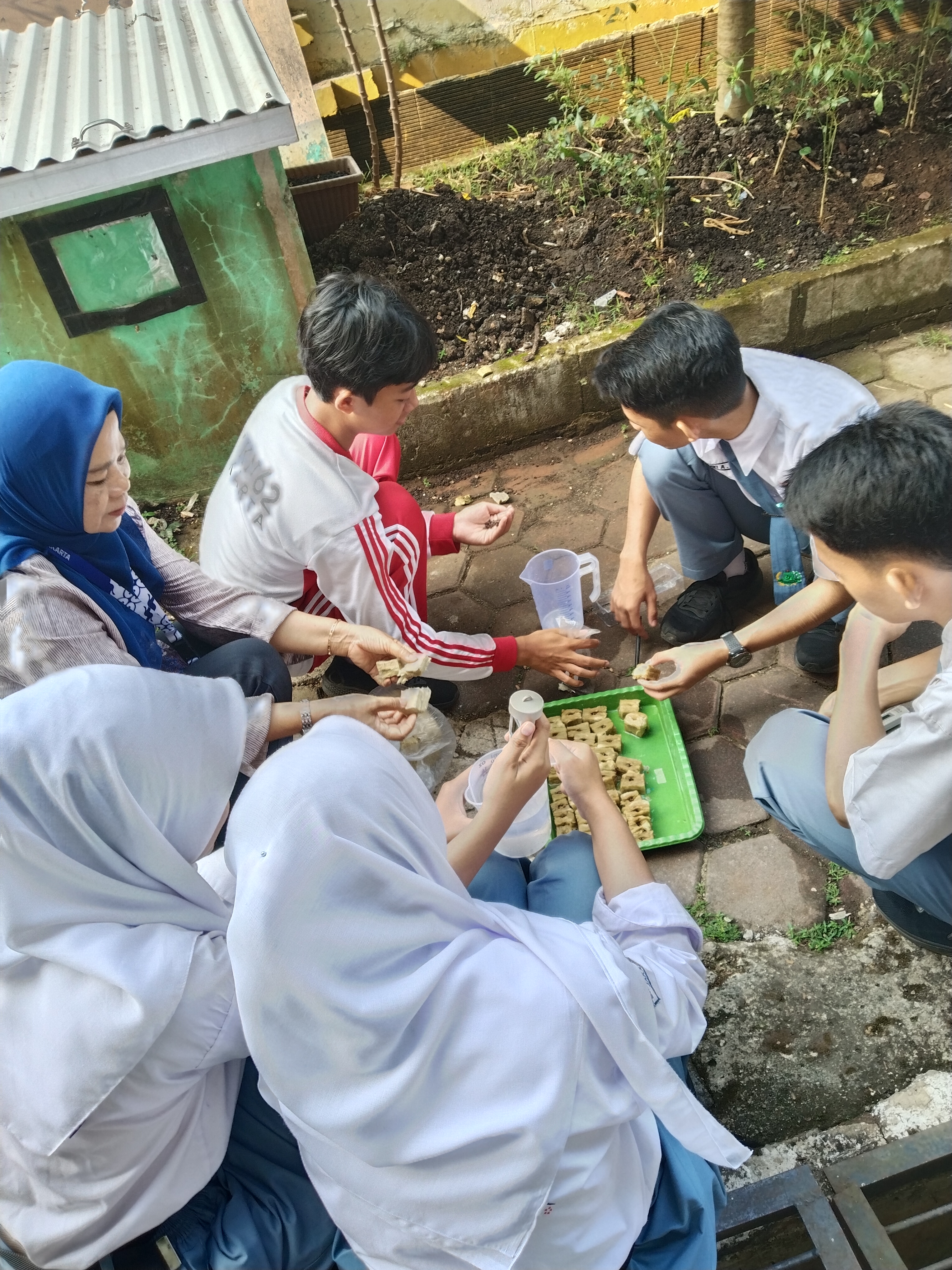 Lahan Urban Farming SMKN 62 Jakarta - Gambar 48