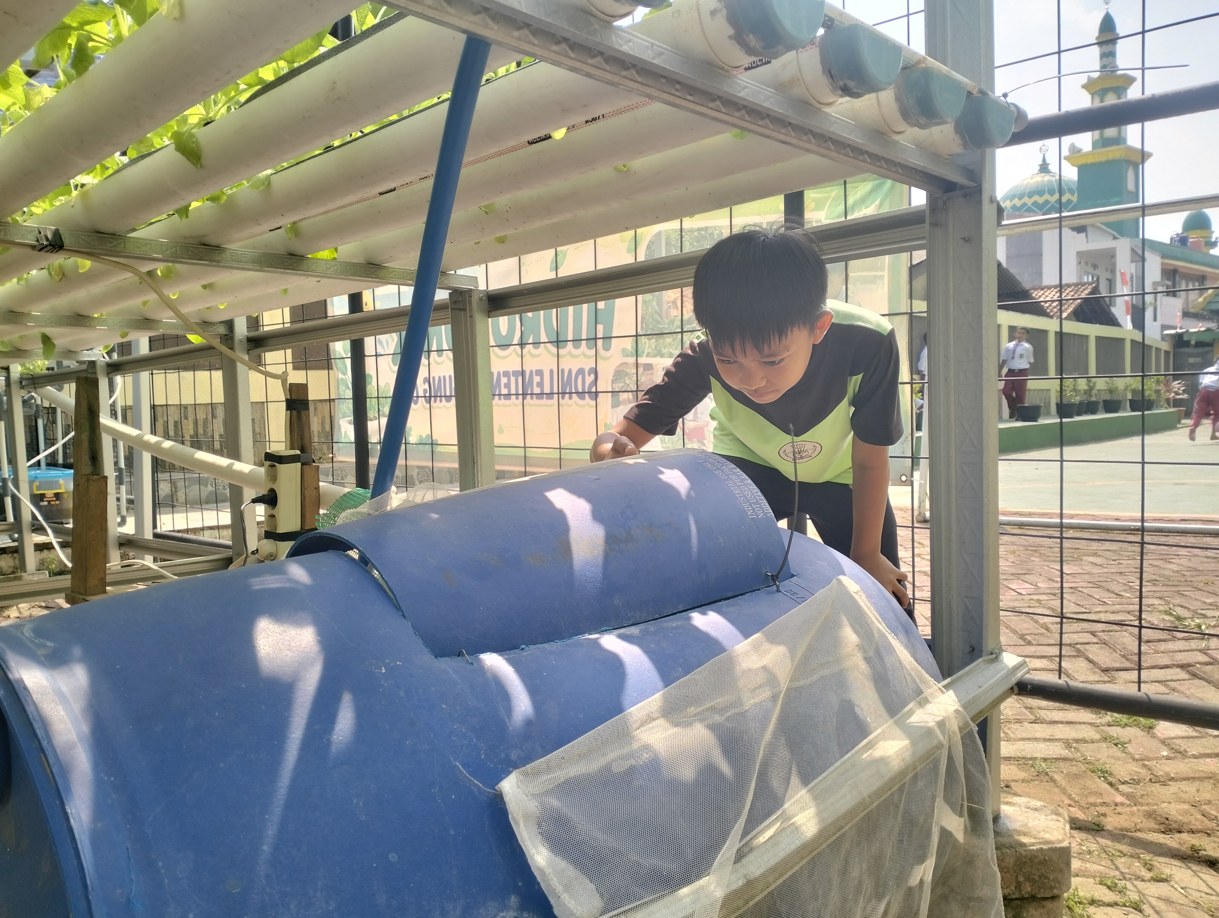 Lahan Urban Farming SDN Lenteng Agung 07 Jakarta - Gambar 88