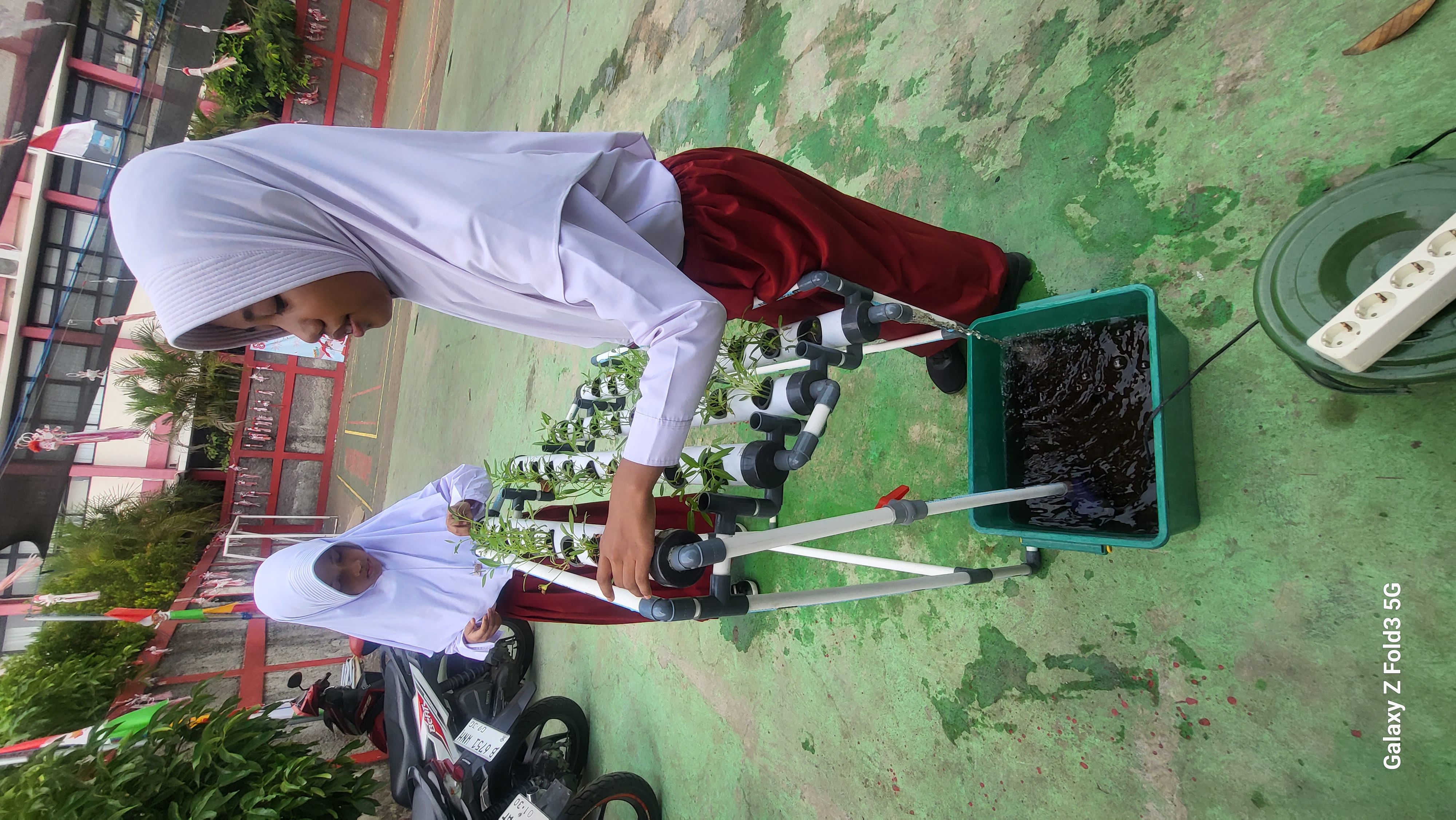 Lahan Urban Farming SDN Bintaro 09 - Gambar 144