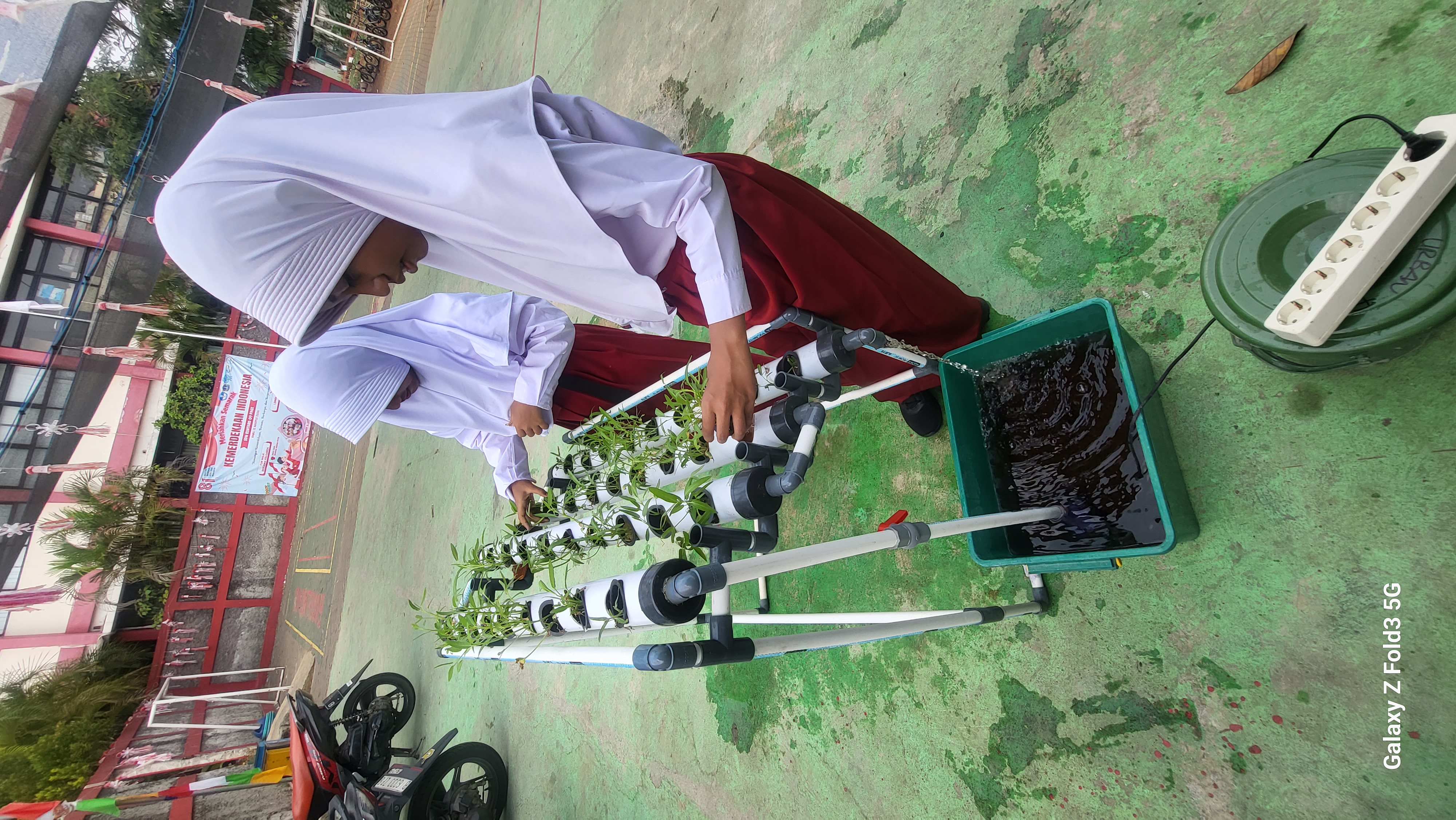Lahan Urban Farming SDN Bintaro 09 - Gambar 145