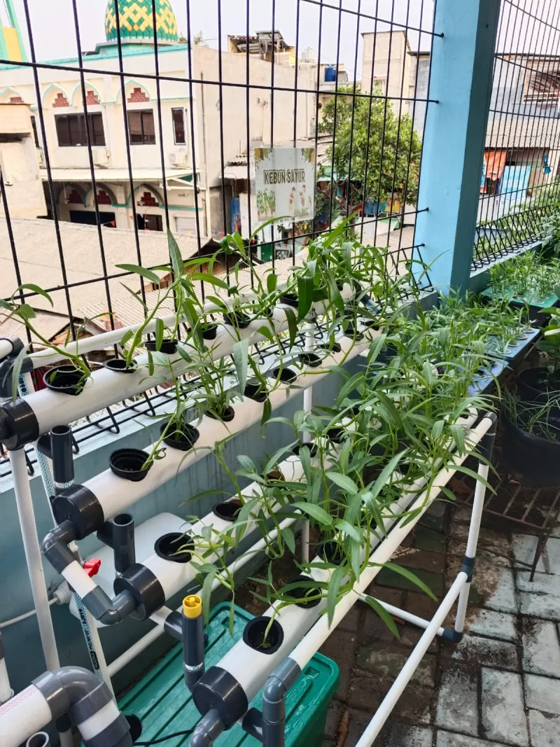 Lahan Urban Farming SMKN 43 Jakarta - Gambar 169