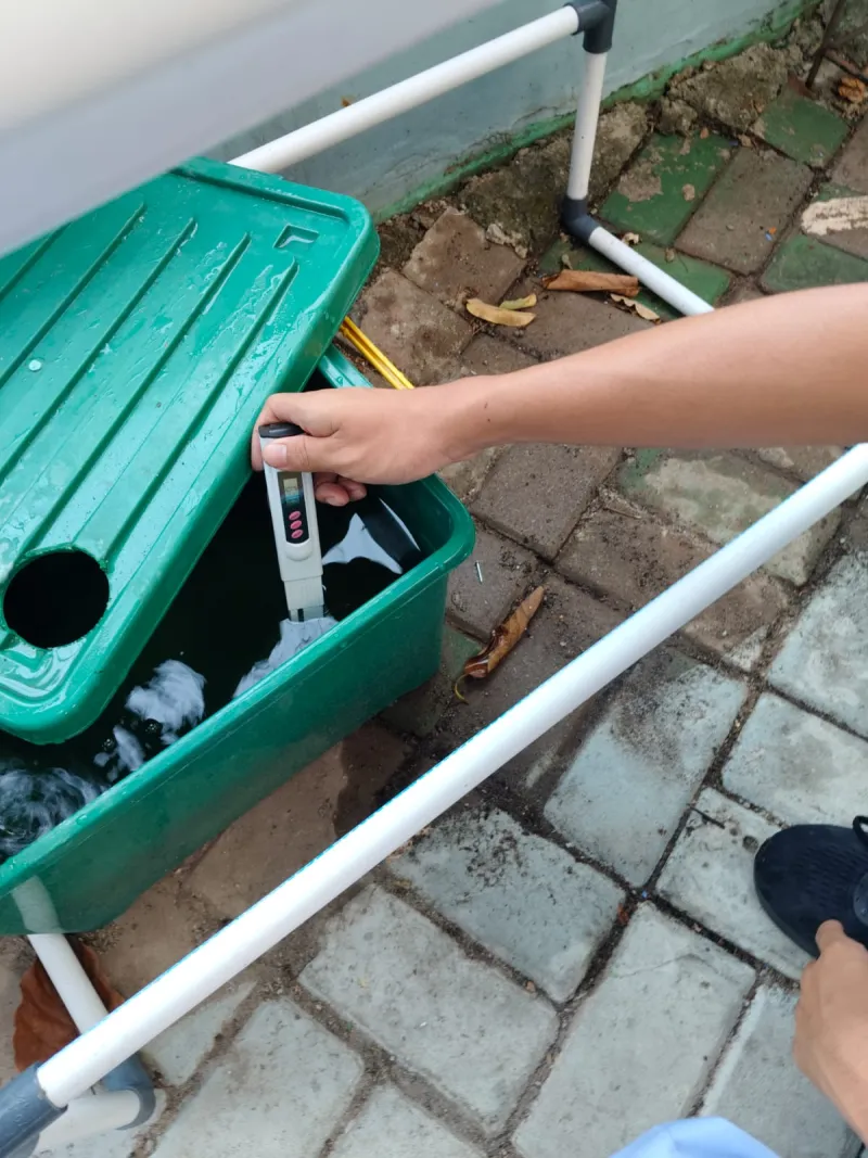 Lahan Urban Farming SMKN 43 Jakarta - Gambar 166