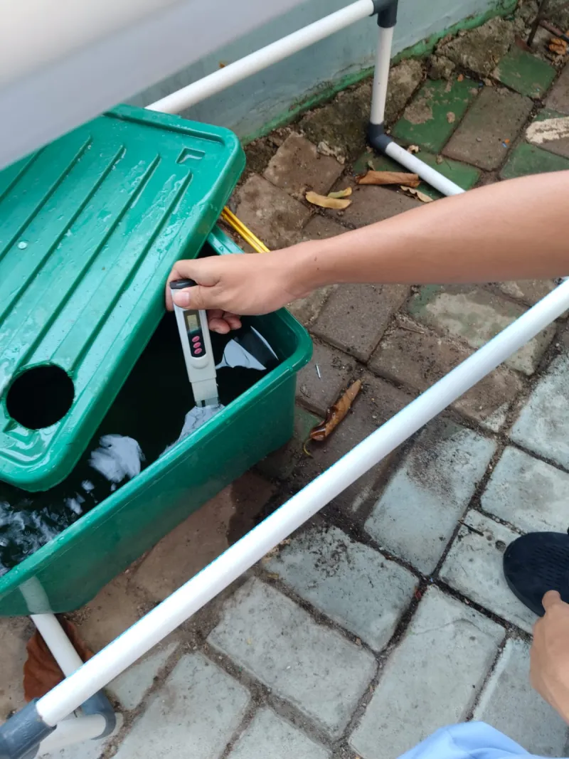 Lahan Urban Farming SMKN 43 Jakarta - Gambar 167