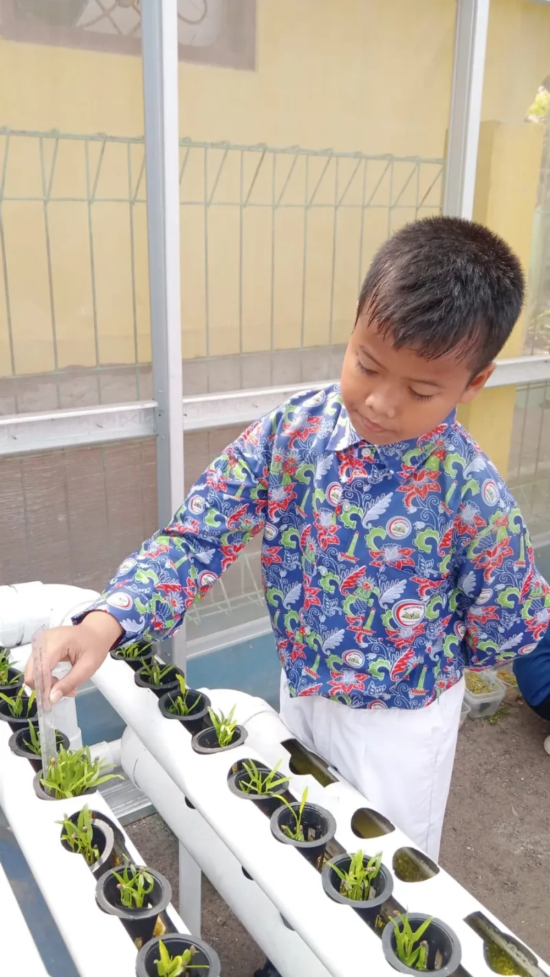 Lahan Urban Farming SDN Cipulir 03 - Gambar 55