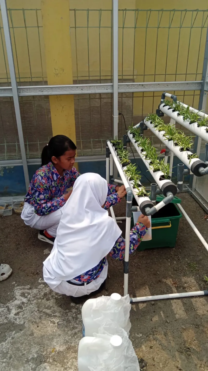 Lahan Urban Farming SDN Cipulir 03 - Gambar 56