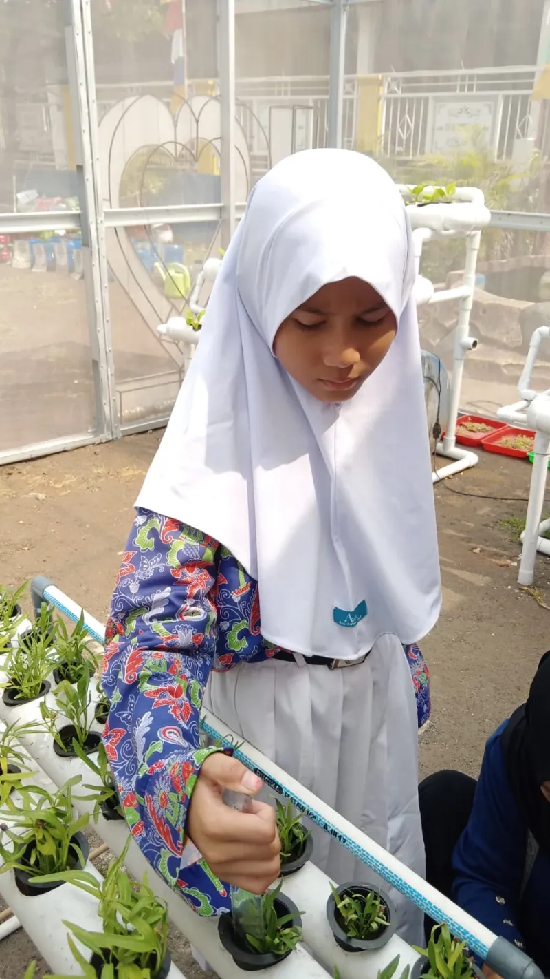 Lahan Urban Farming SDN Cipulir 03 - Gambar 58