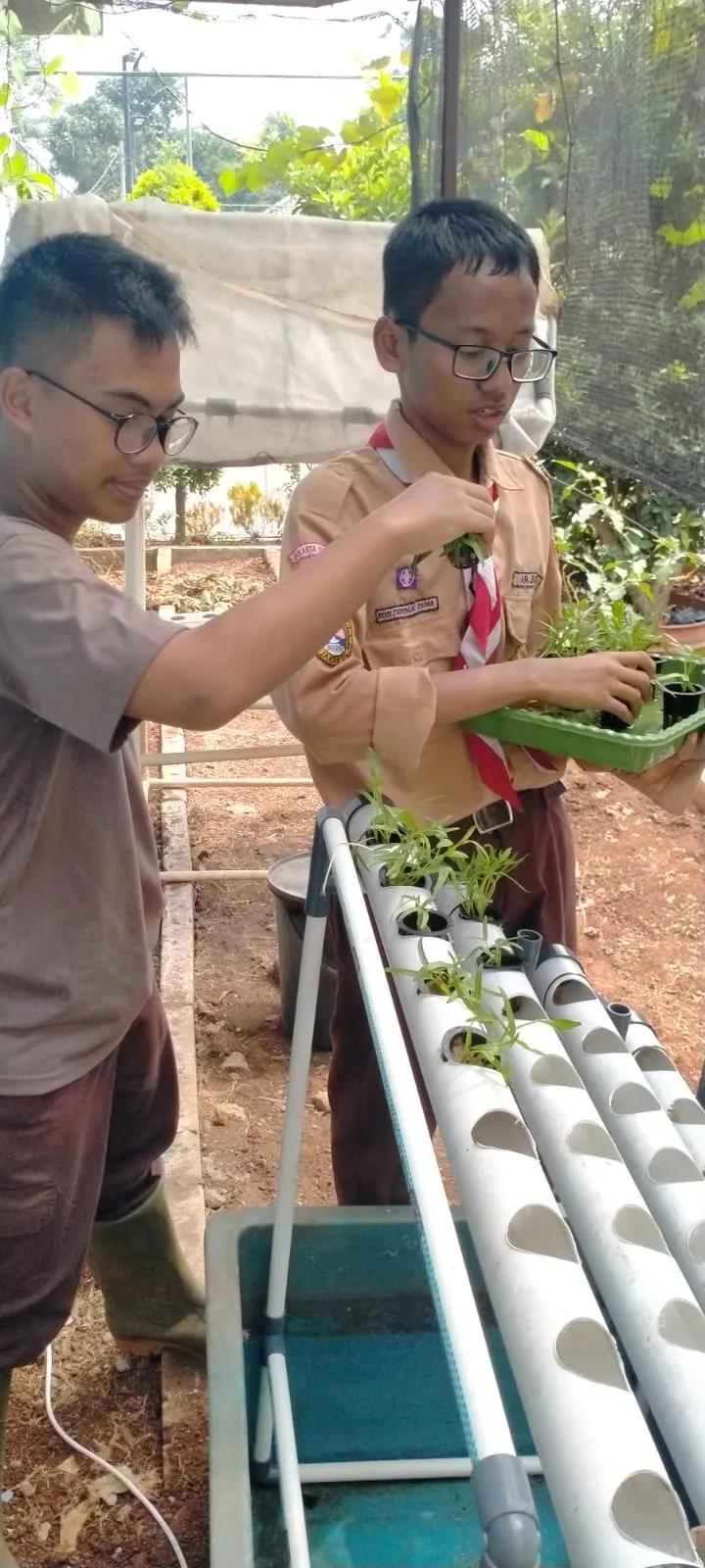 Lahan Urban Farming SLBN 01 Lebak Bulus - Gambar 62