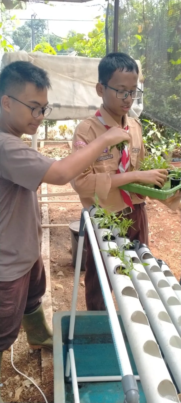 Lahan Urban Farming SLBN 01 Lebak Bulus - Gambar 61