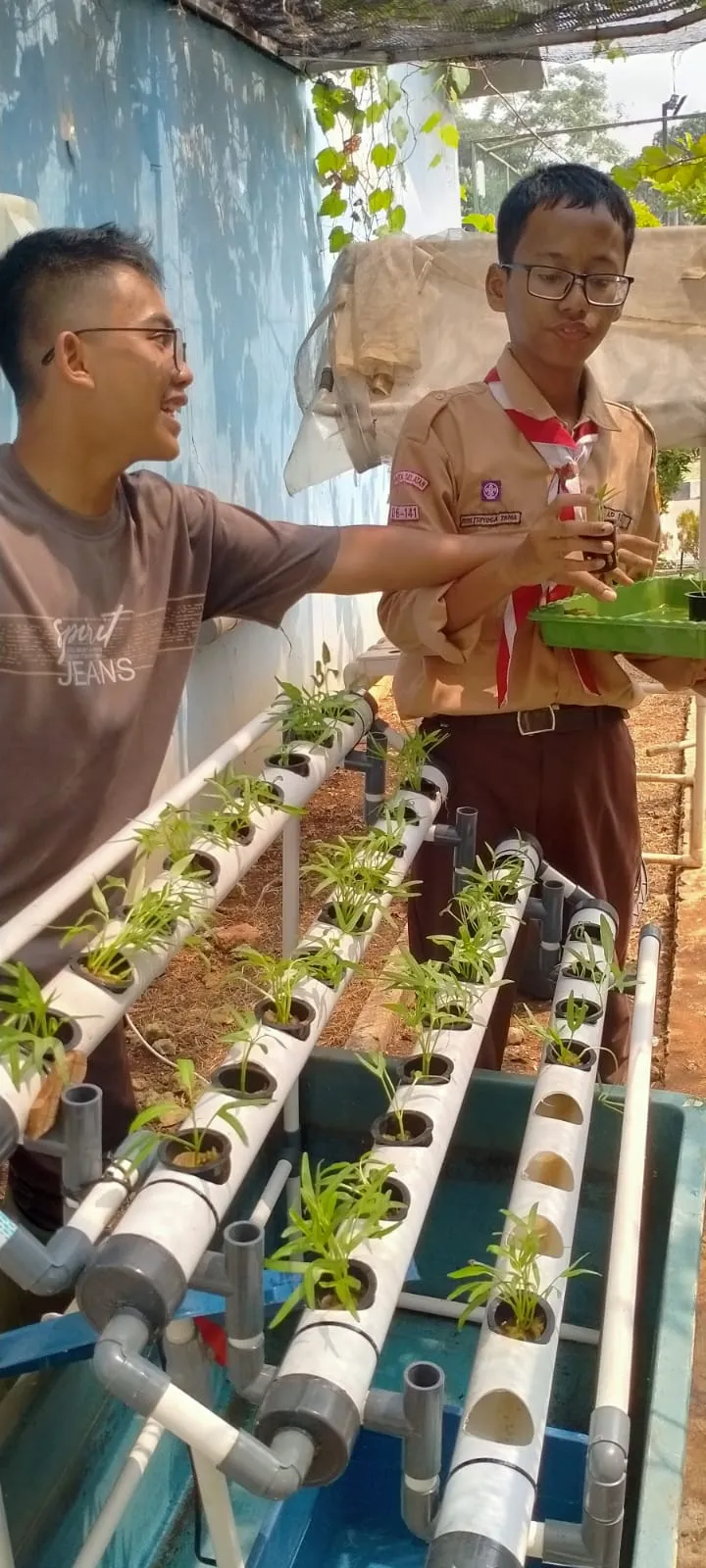 Lahan Urban Farming SLBN 01 Lebak Bulus - Gambar 64
