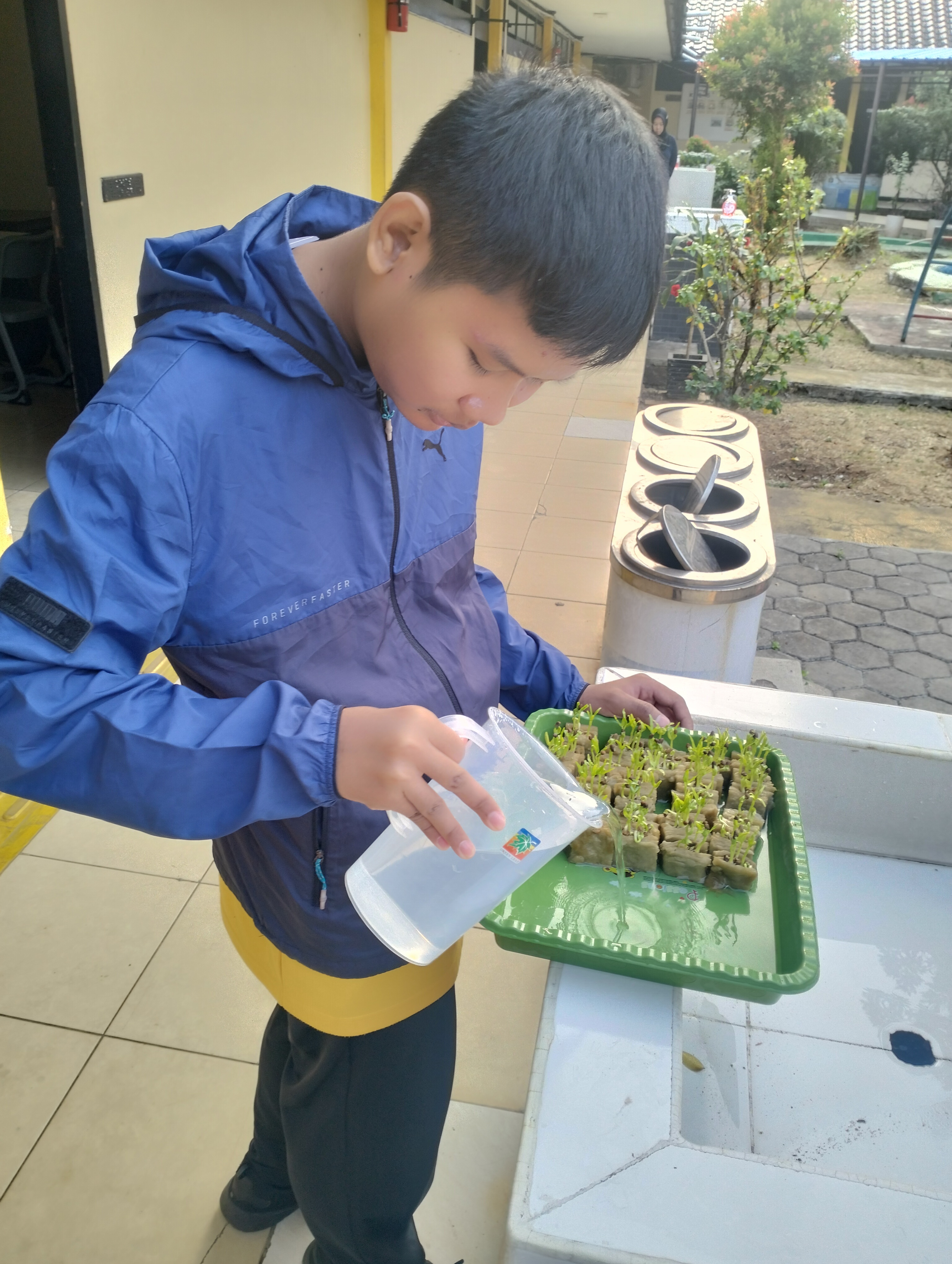 Lahan Urban Farming SLB A Pembina Tingkat Nasional - Gambar 98