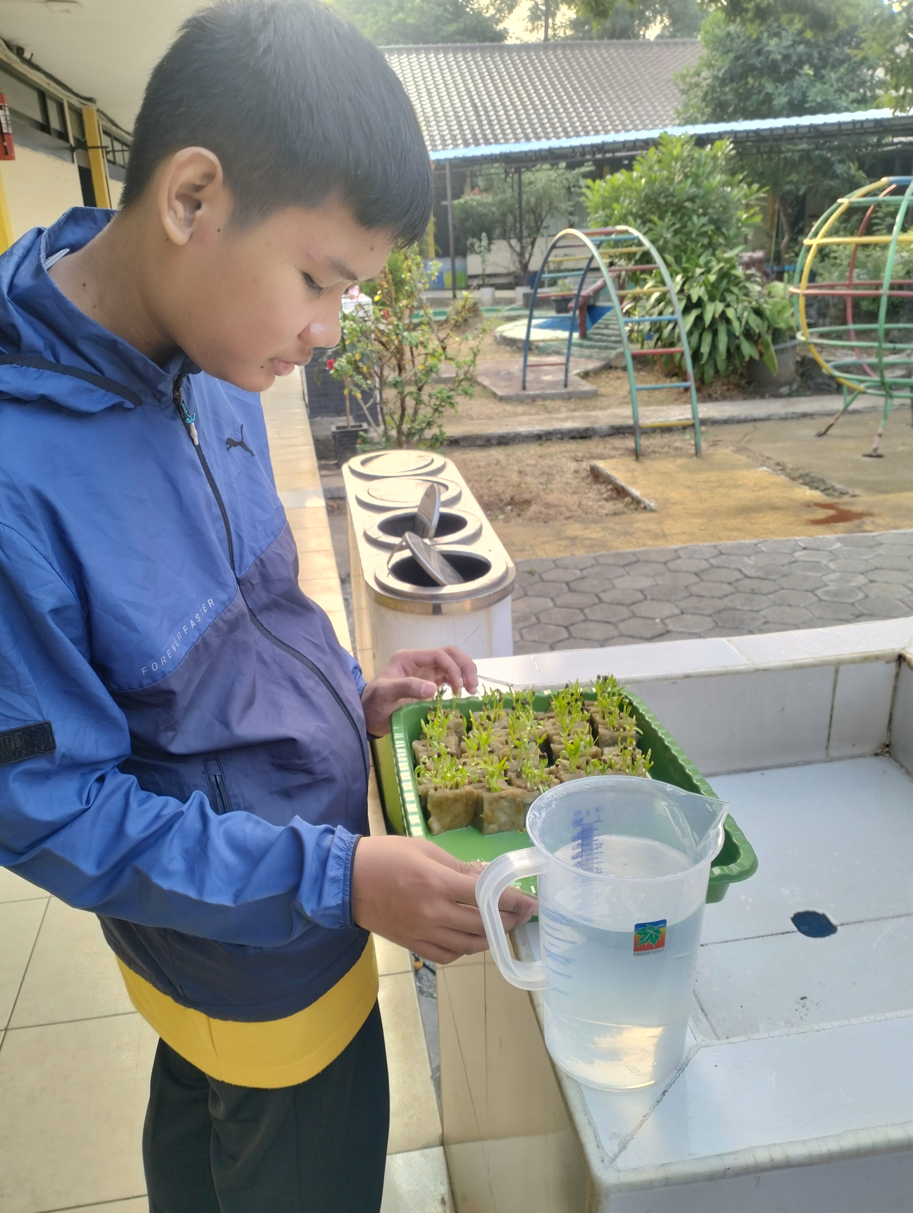 Lahan Urban Farming SLB A Pembina Tingkat Nasional - Gambar 99